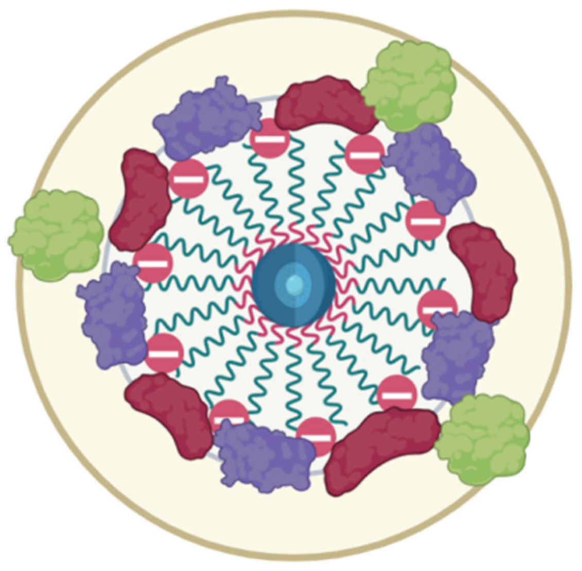 Nanomaterials 15 00475 g011