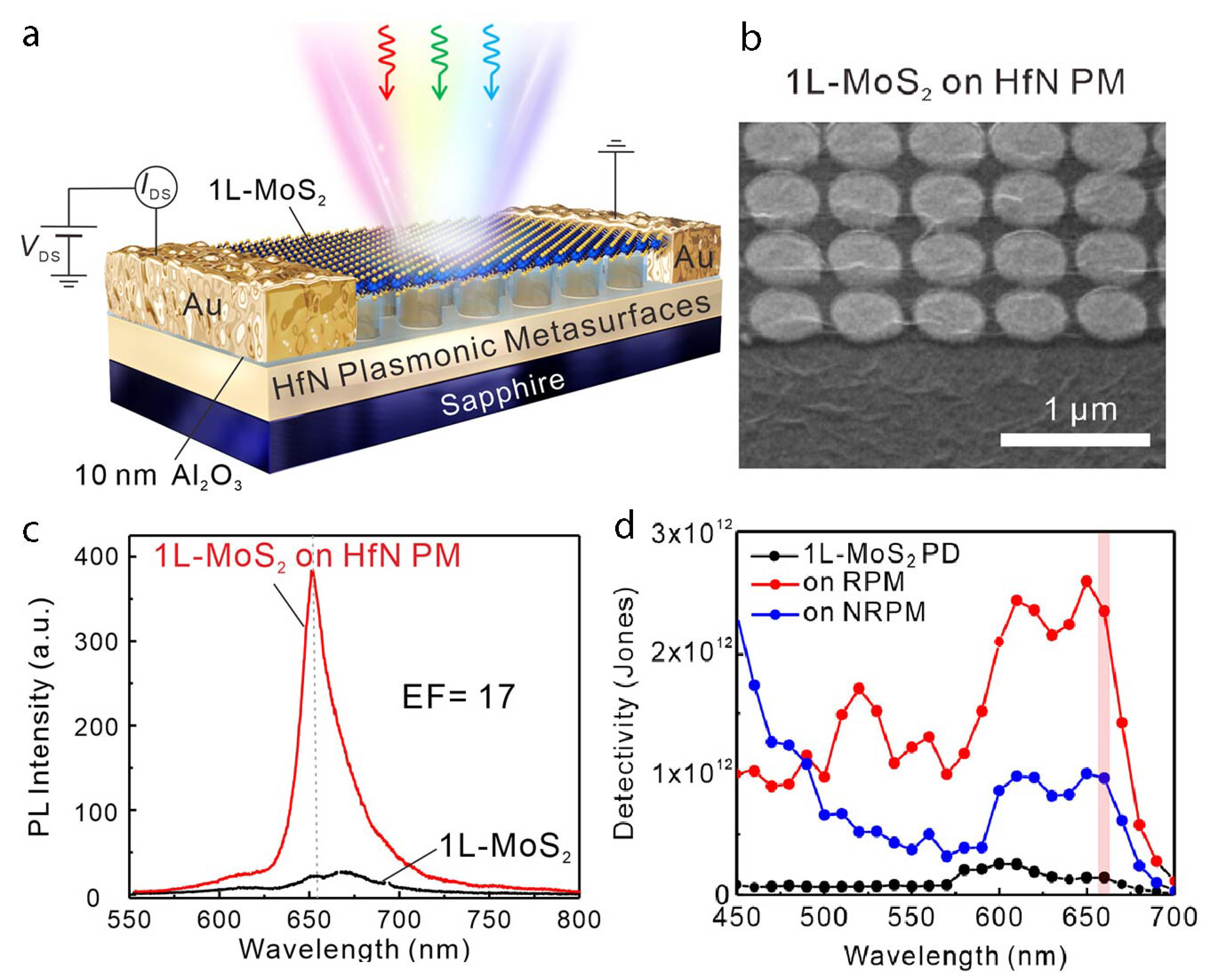 Nanomaterials 15 00477 g006