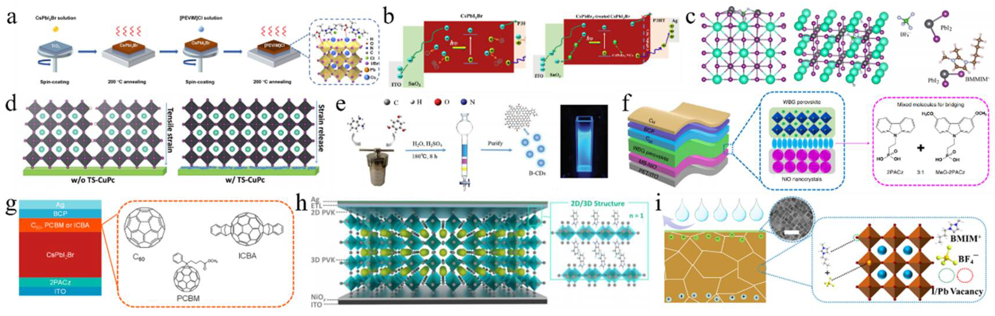 Nanomaterials 15 00483 g010