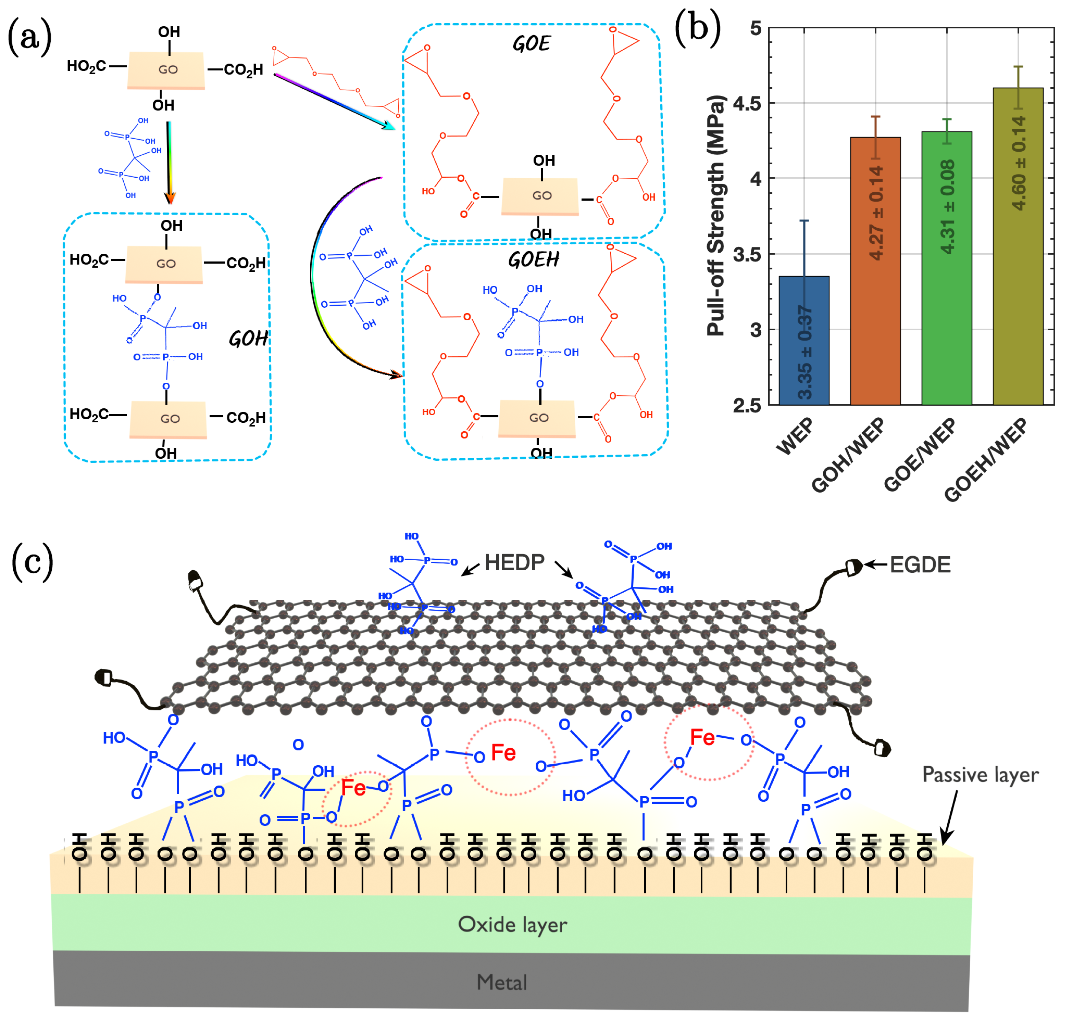 Nanomaterials 15 00486 g012