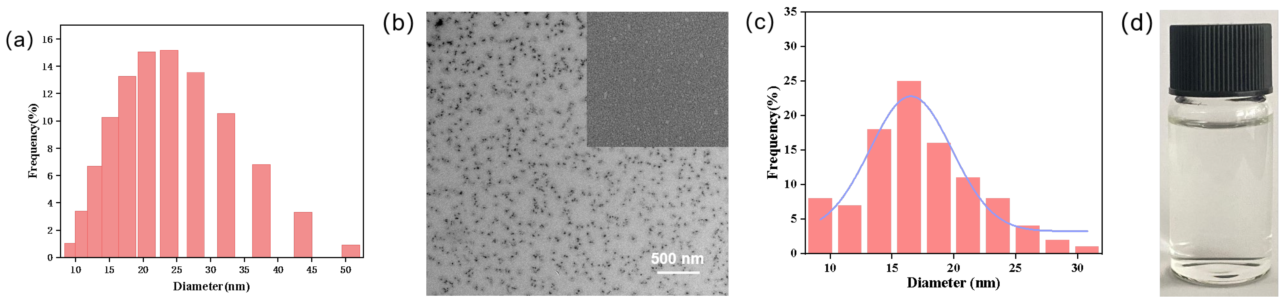 Nanomaterials 15 00495 g001
