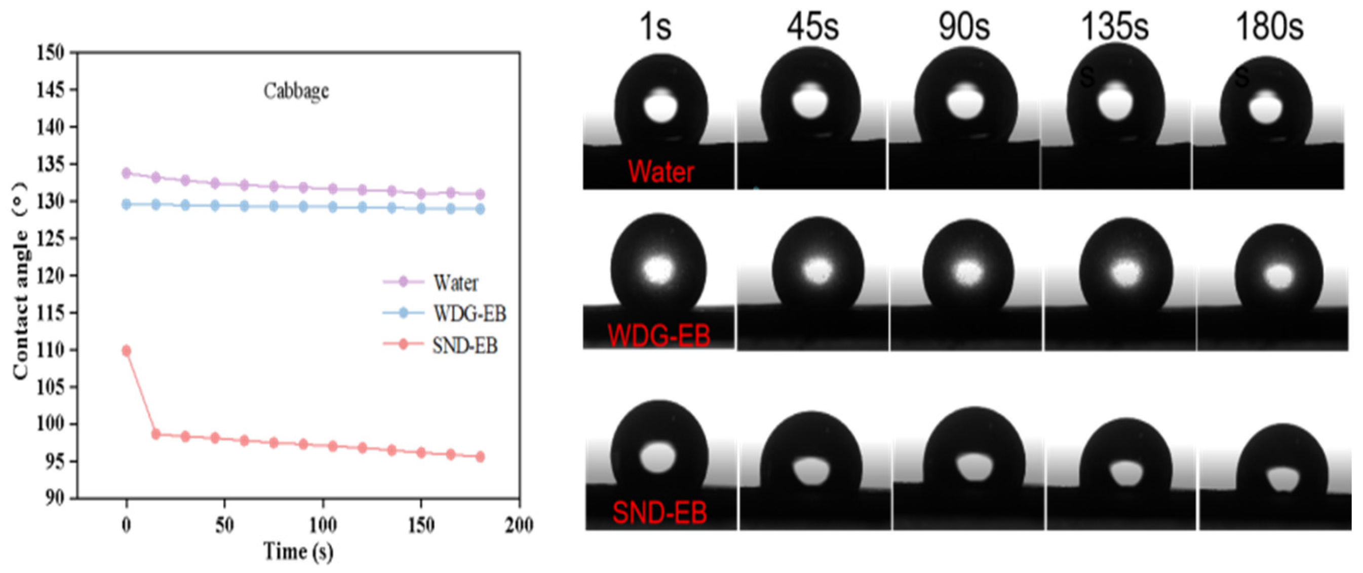 Nanomaterials 15 00495 g007