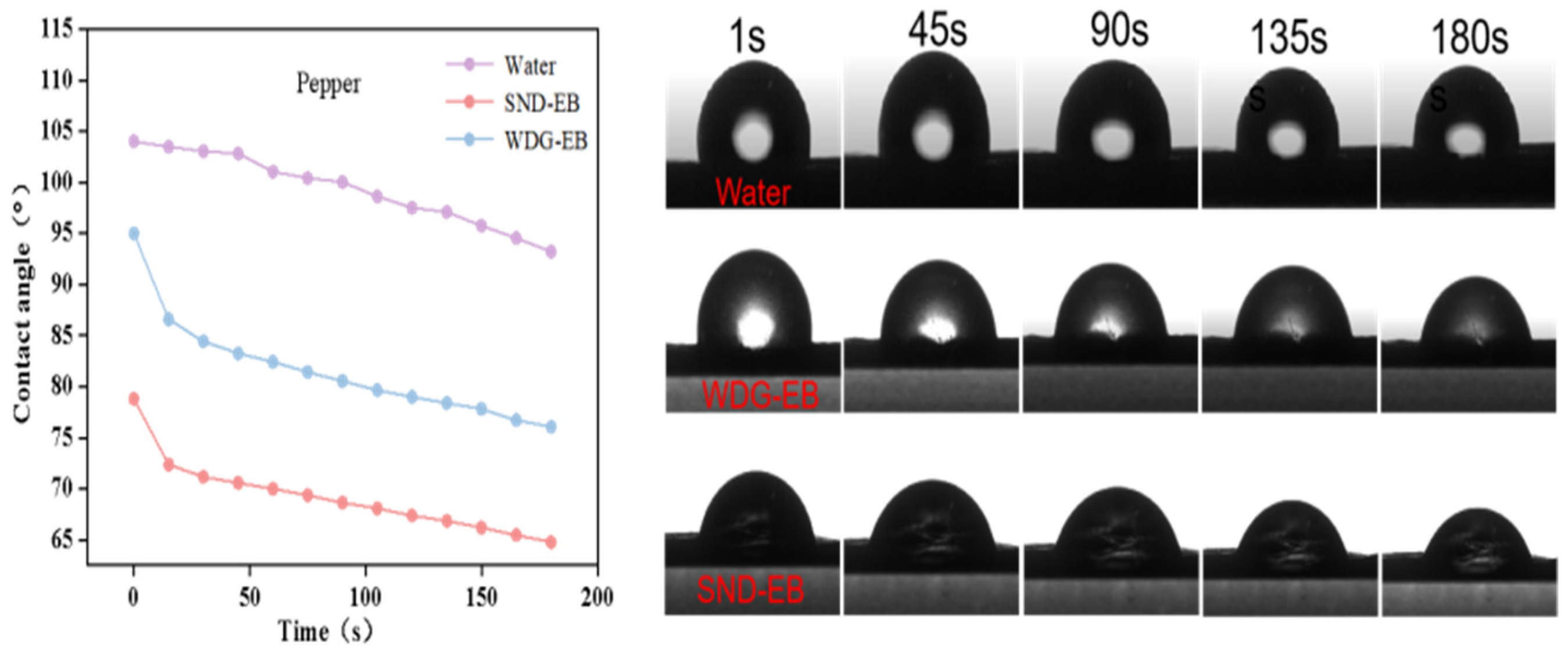 Nanomaterials 15 00495 g008