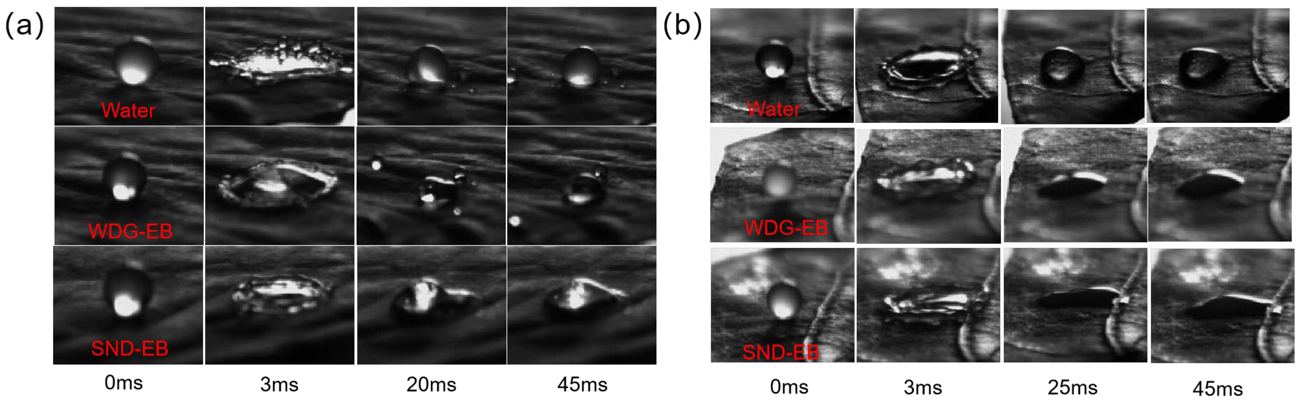 Nanomaterials 15 00495 g009