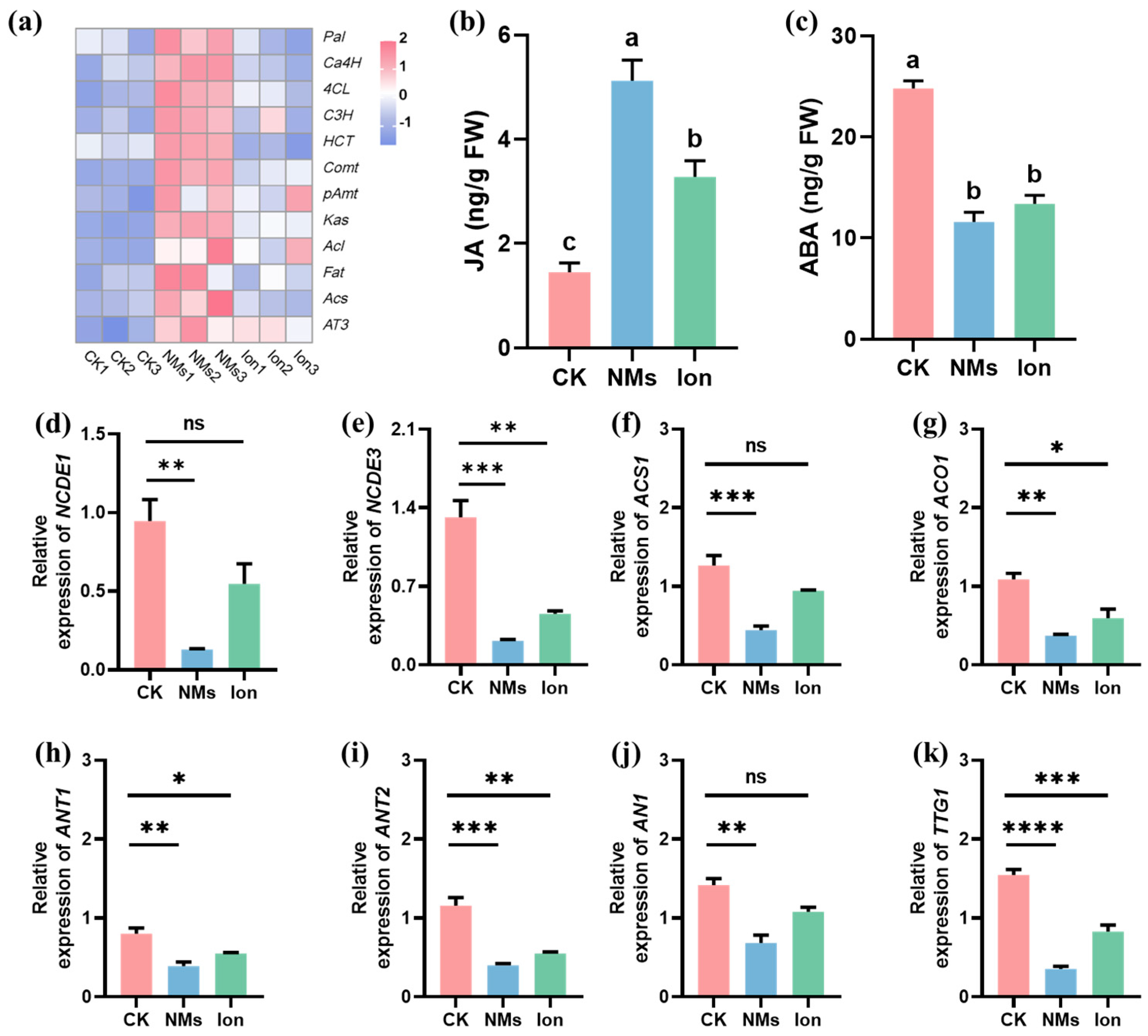 Nanomaterials 15 00497 g004