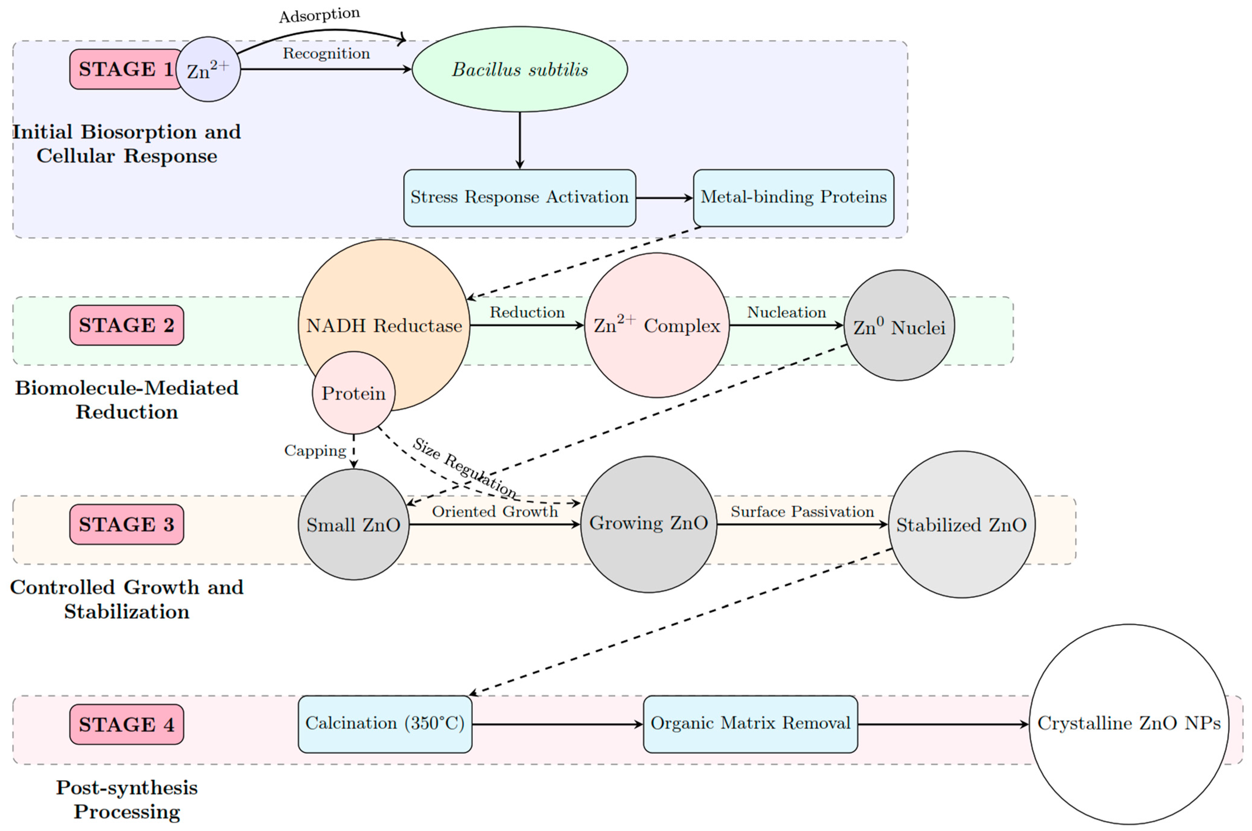 Nanomaterials 15 00501 g001 Nanomaterials 15 00501 g001