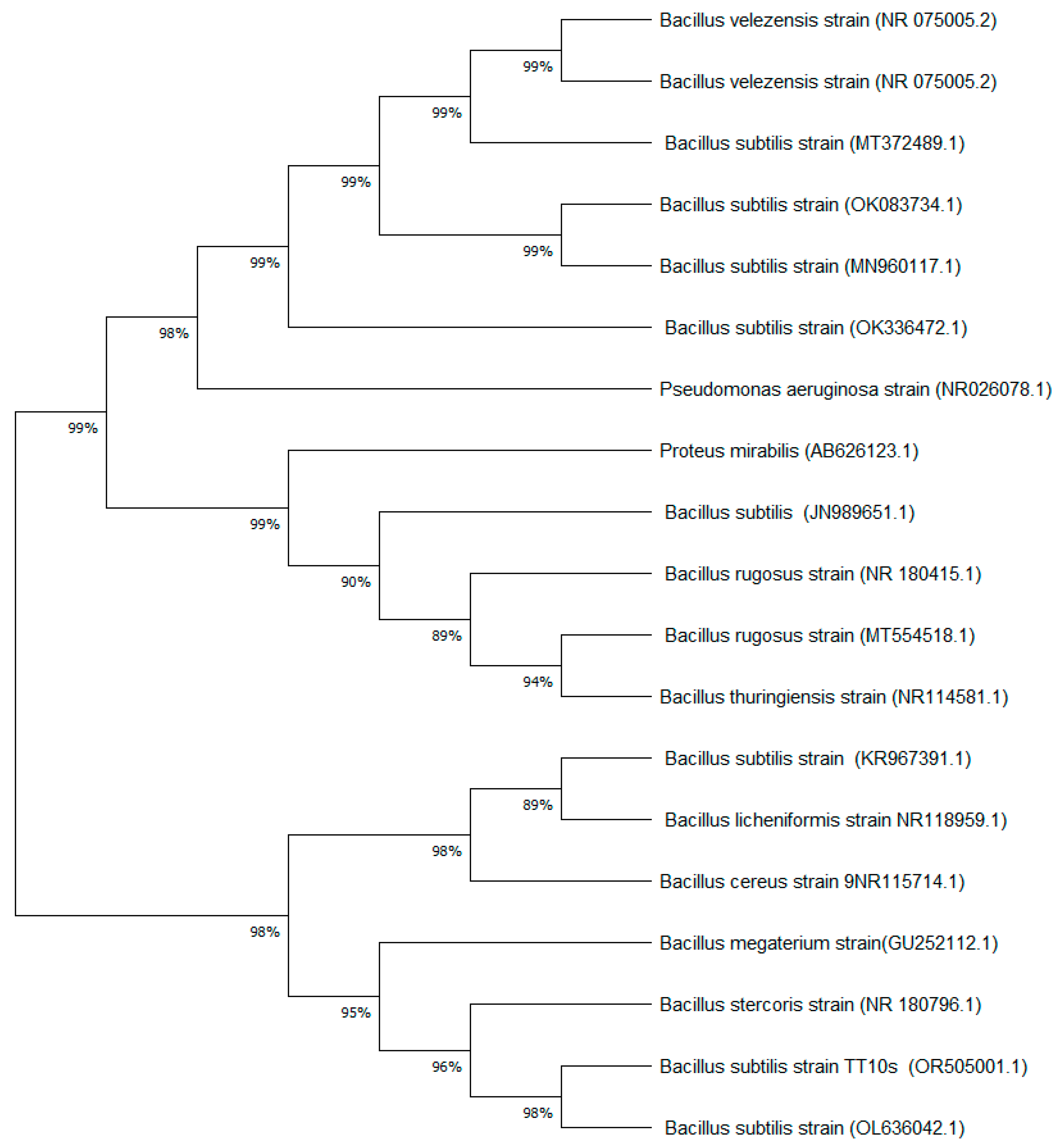 Nanomaterials 15 00501 g002 Nanomaterials 15 00501 g002