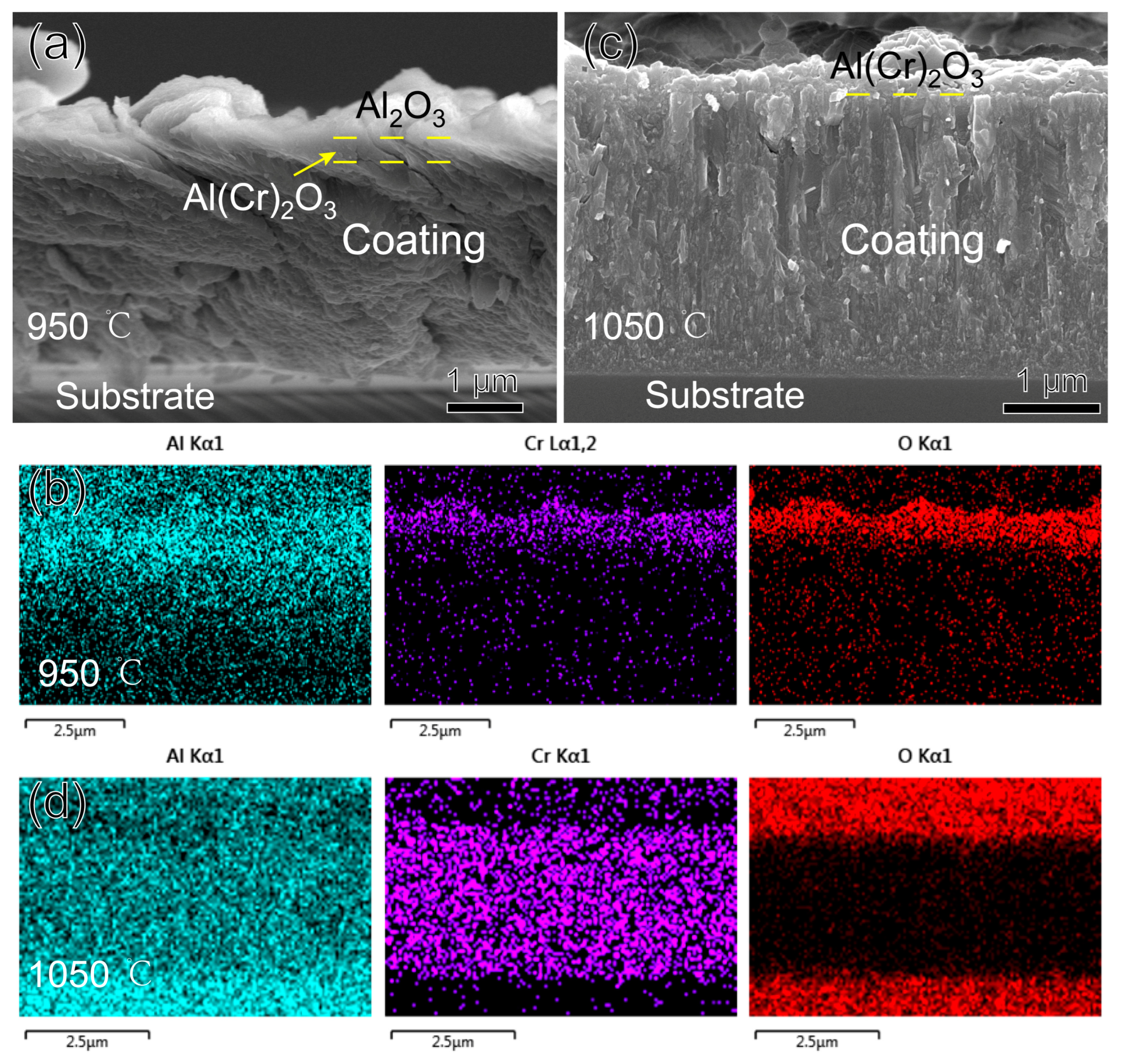 Nanomaterials 15 00503 g010
