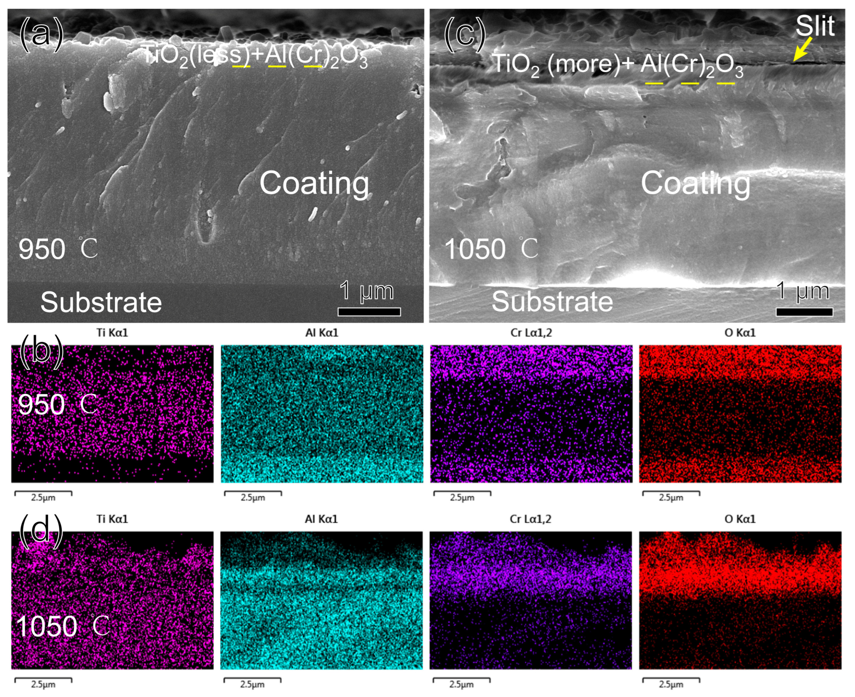 Nanomaterials 15 00503 g011