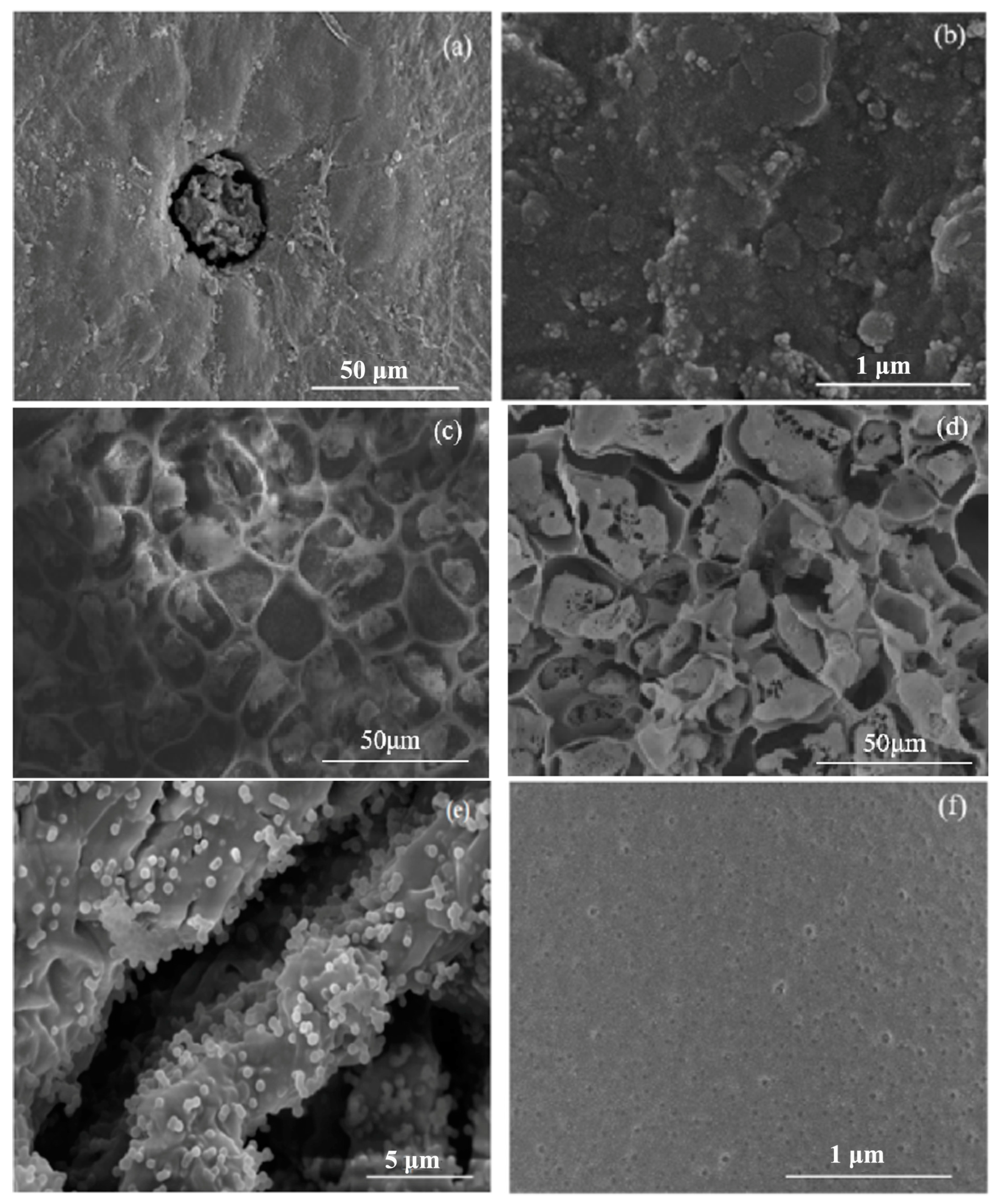 Nanomaterials 15 00504 g003