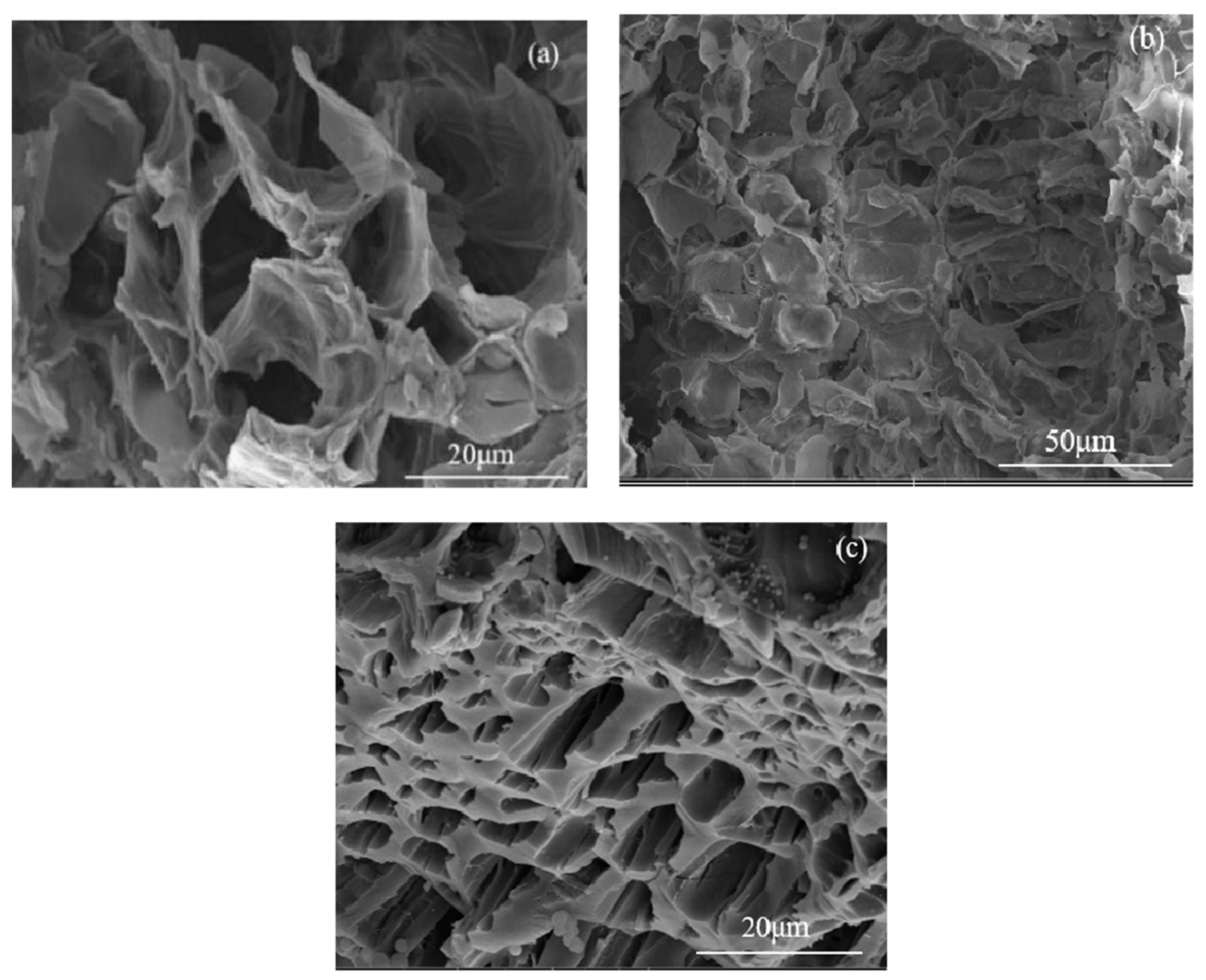 Nanomaterials 15 00504 g004