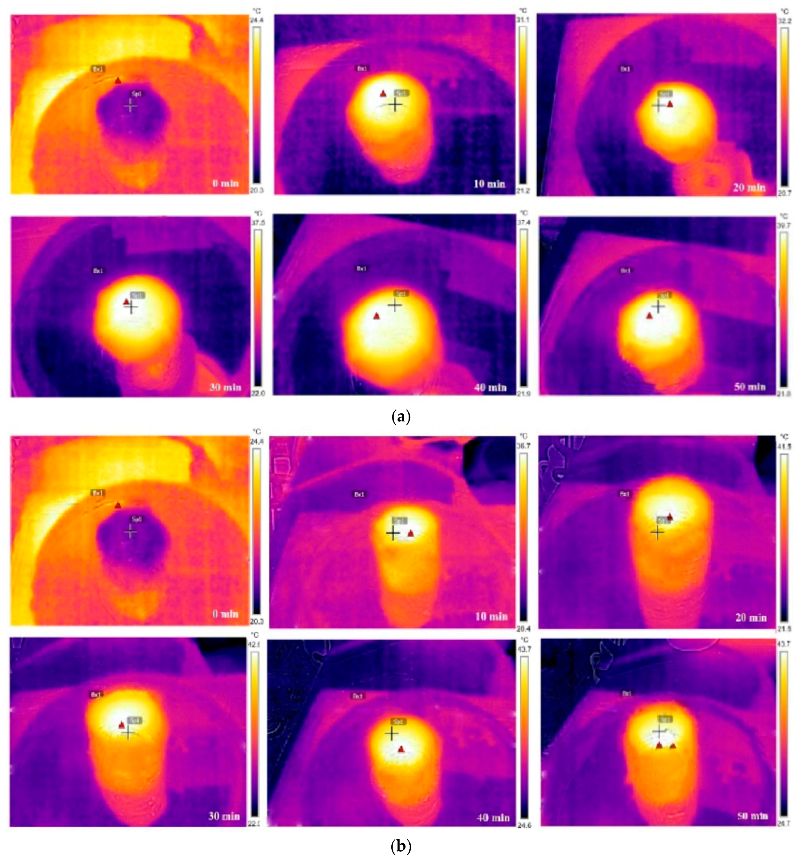 Nanomaterials 15 00504 g007