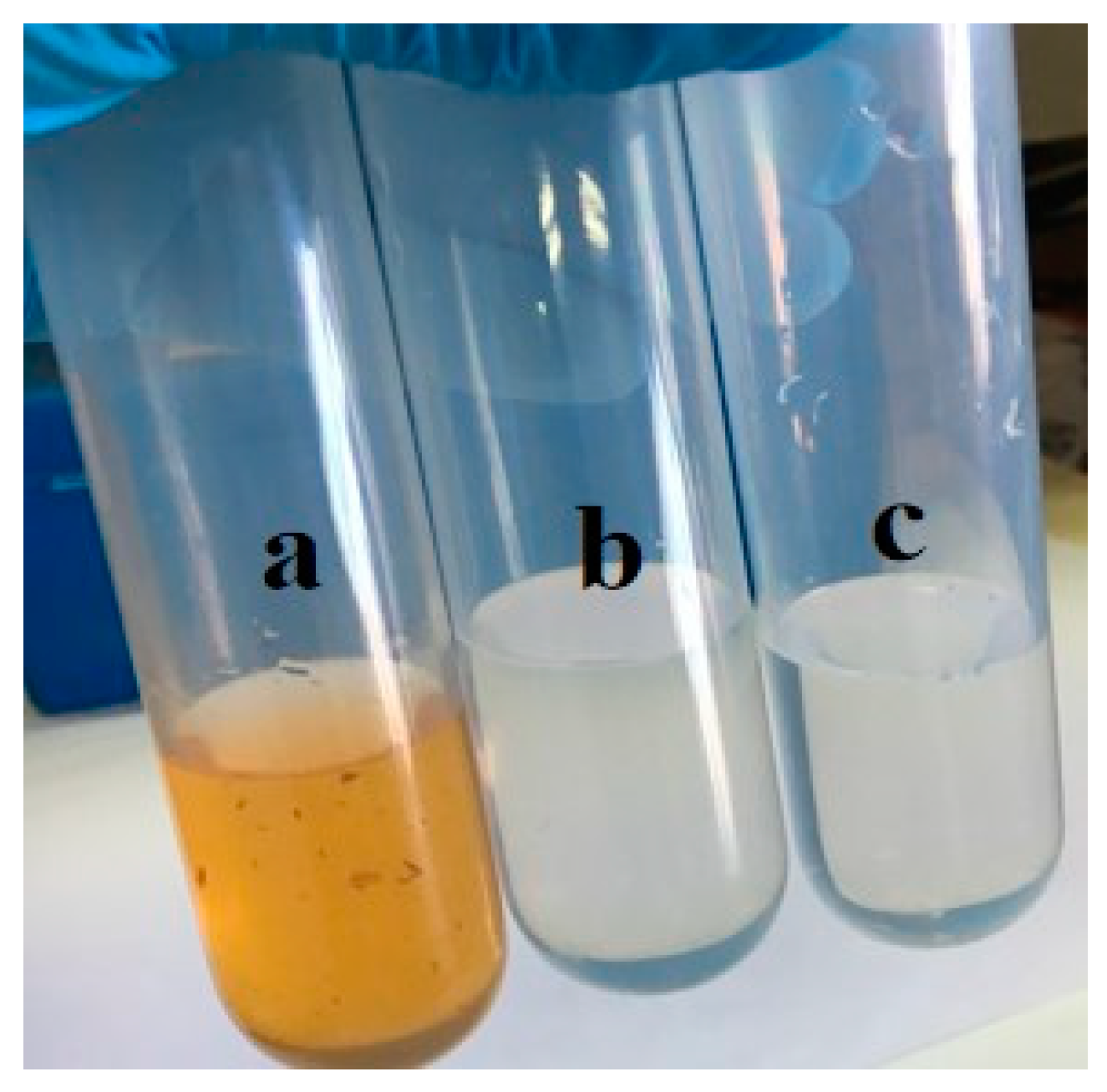 Nanomaterials 15 00504 g013