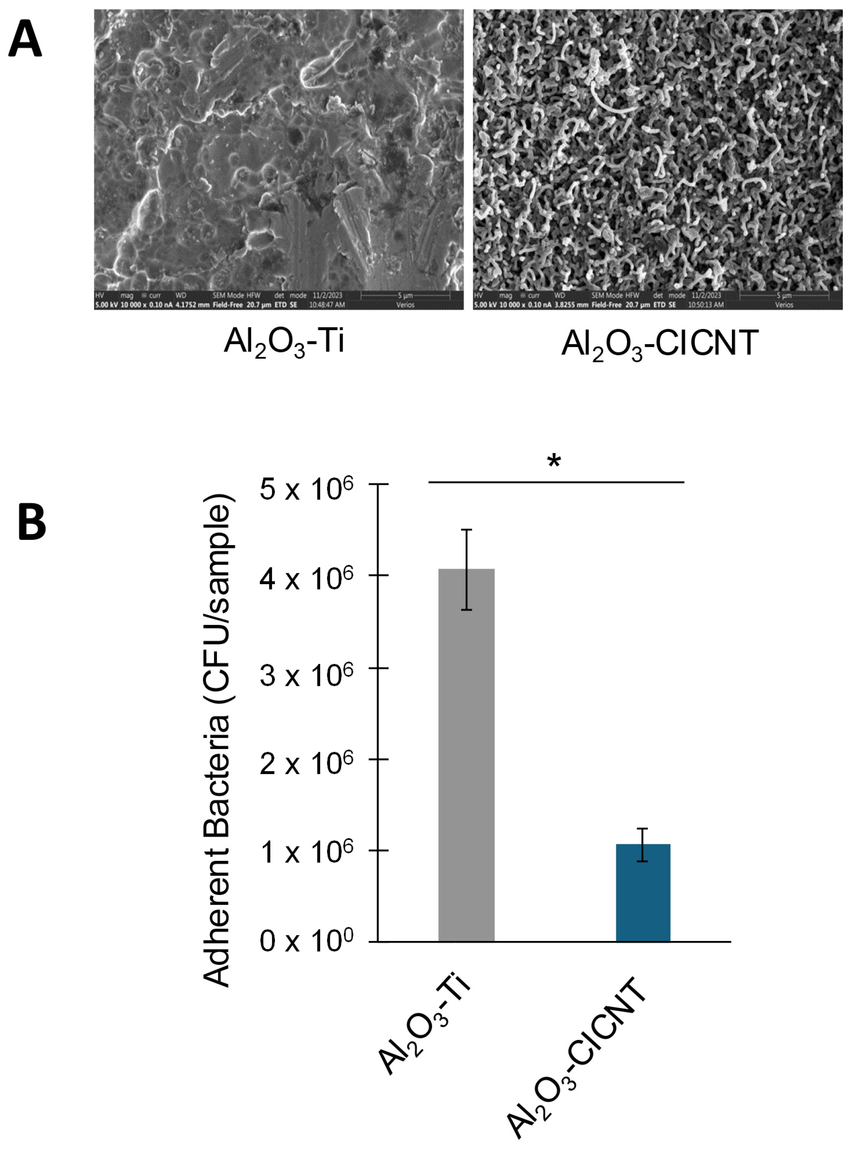 Nanomaterials 15 00510 g003