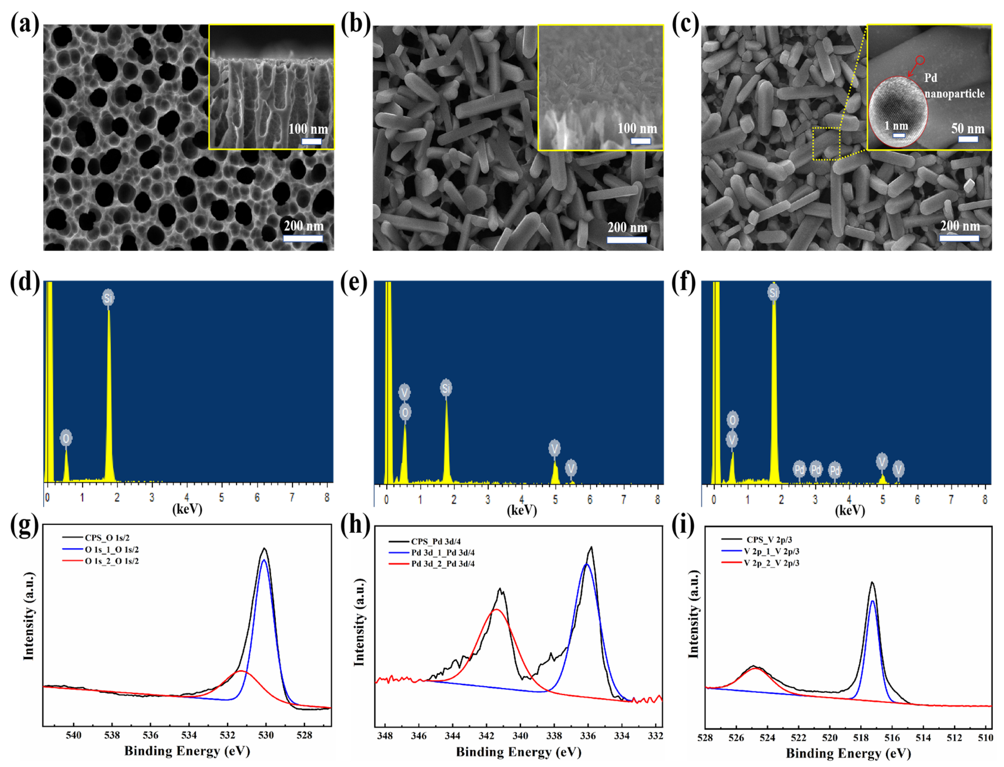 Nanomaterials 15 00513 g005
