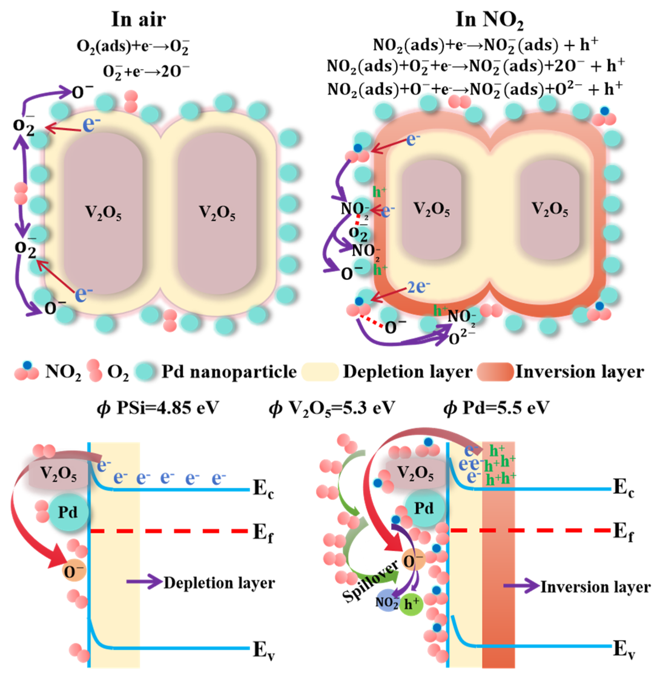 Nanomaterials 15 00513 g008