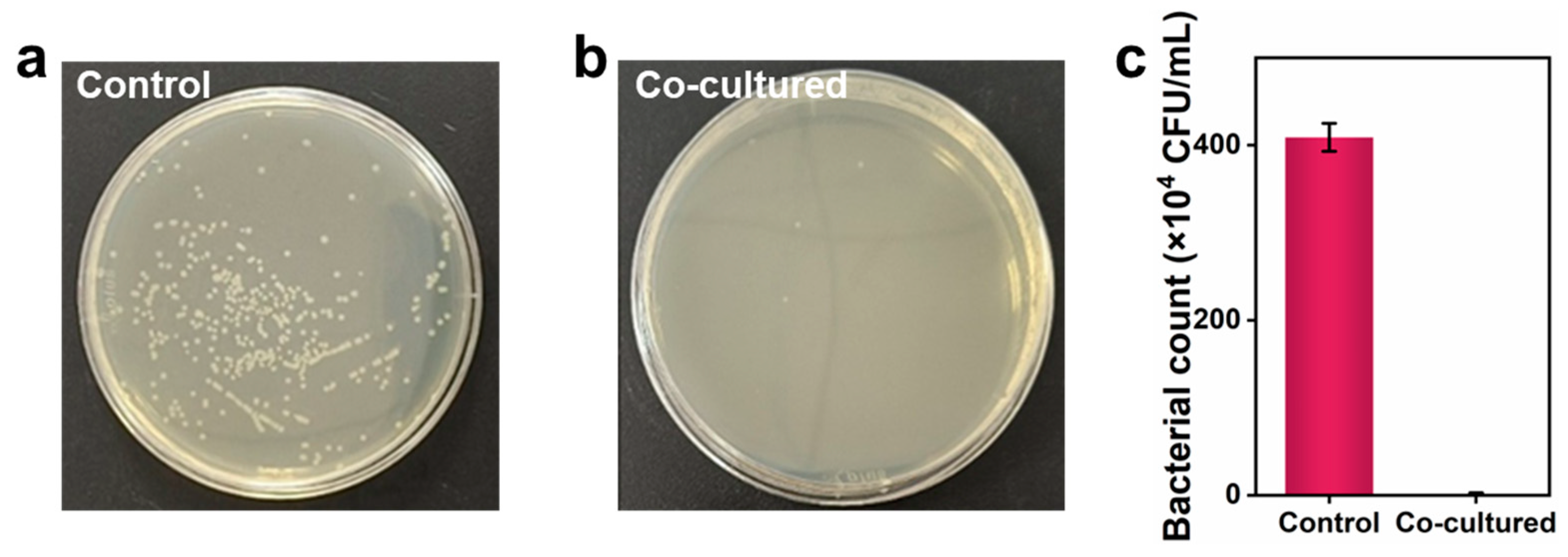 Nanomaterials 15 00515 g004