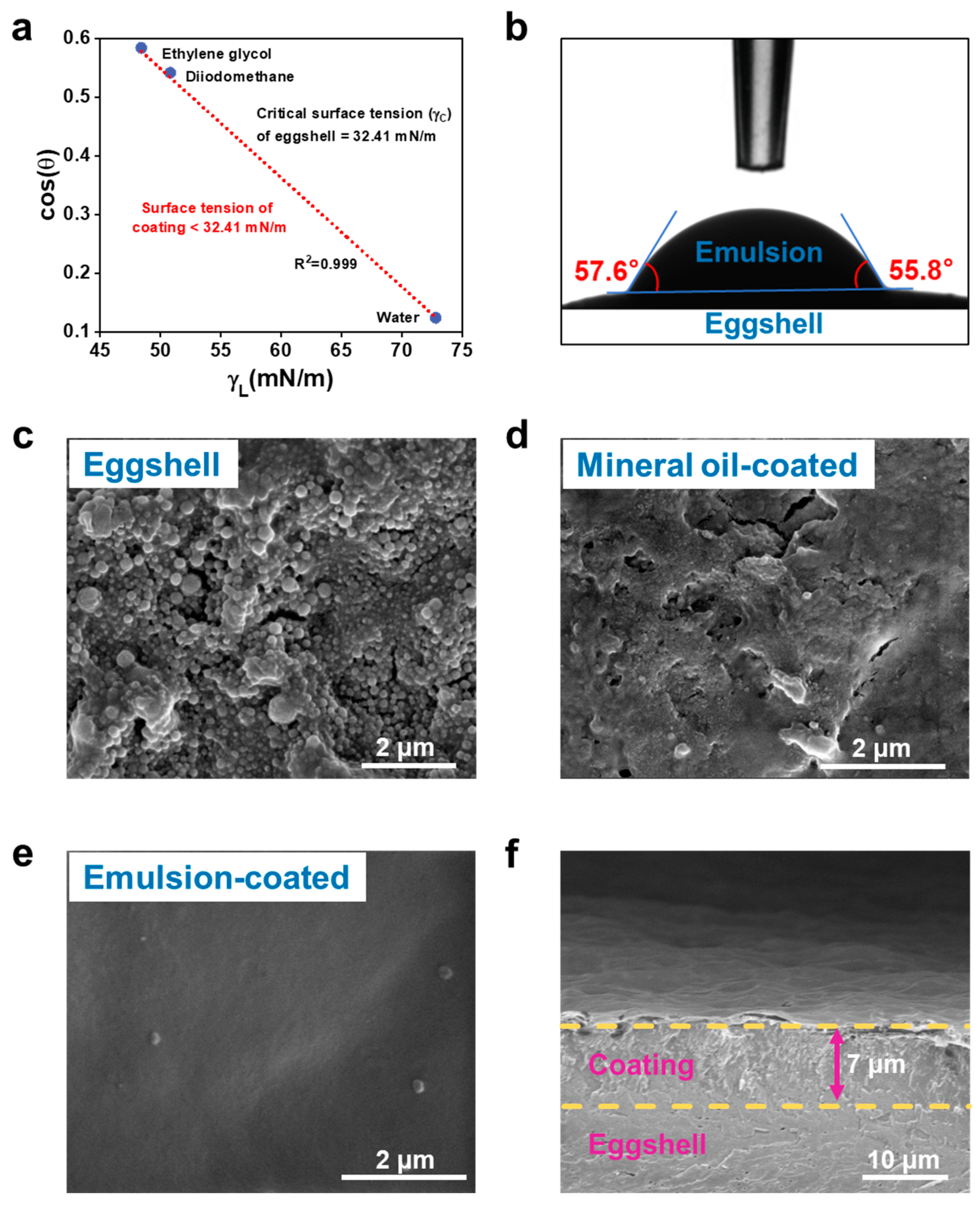 Nanomaterials 15 00515 g005