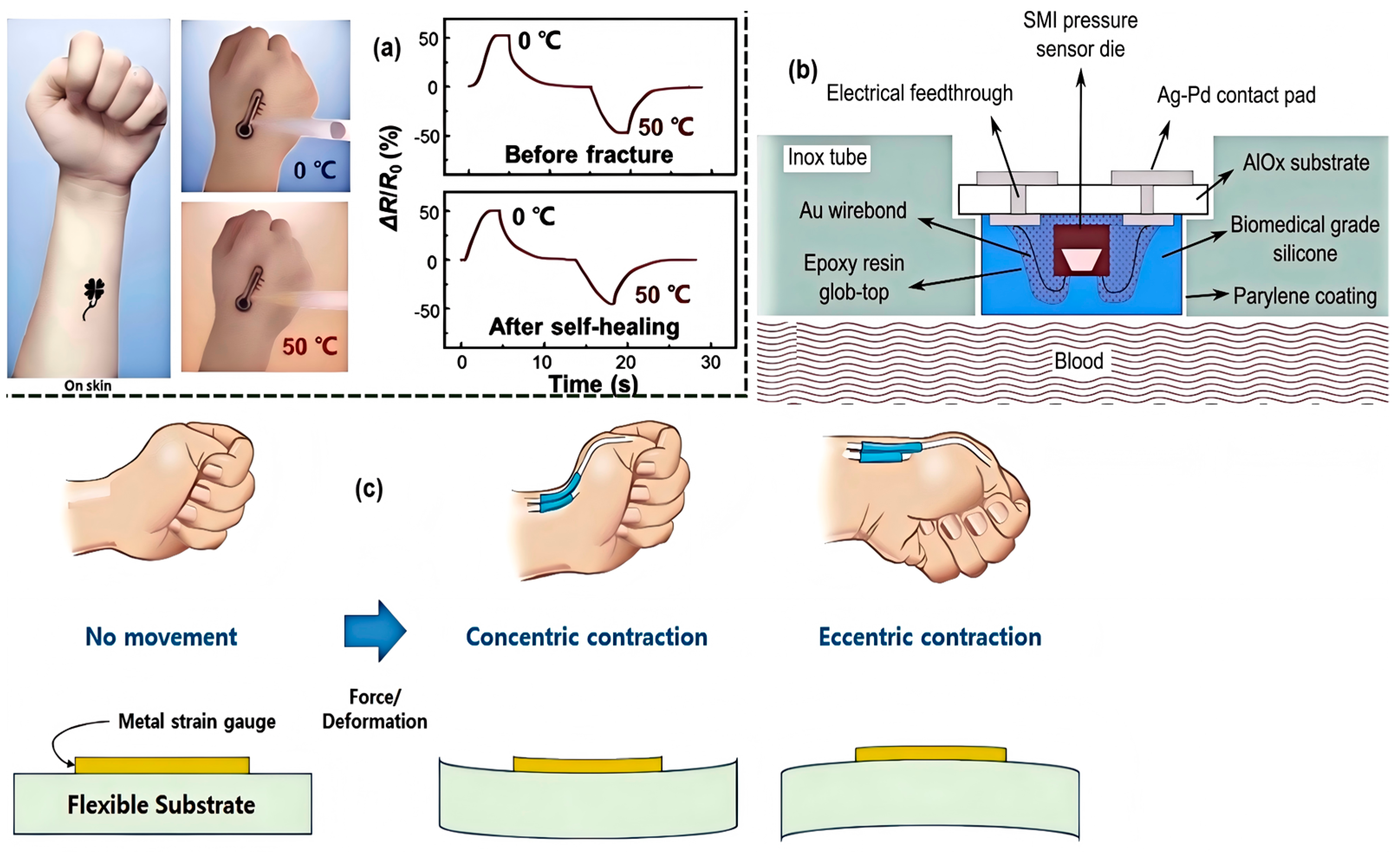 Nanomaterials 15 00520 g003