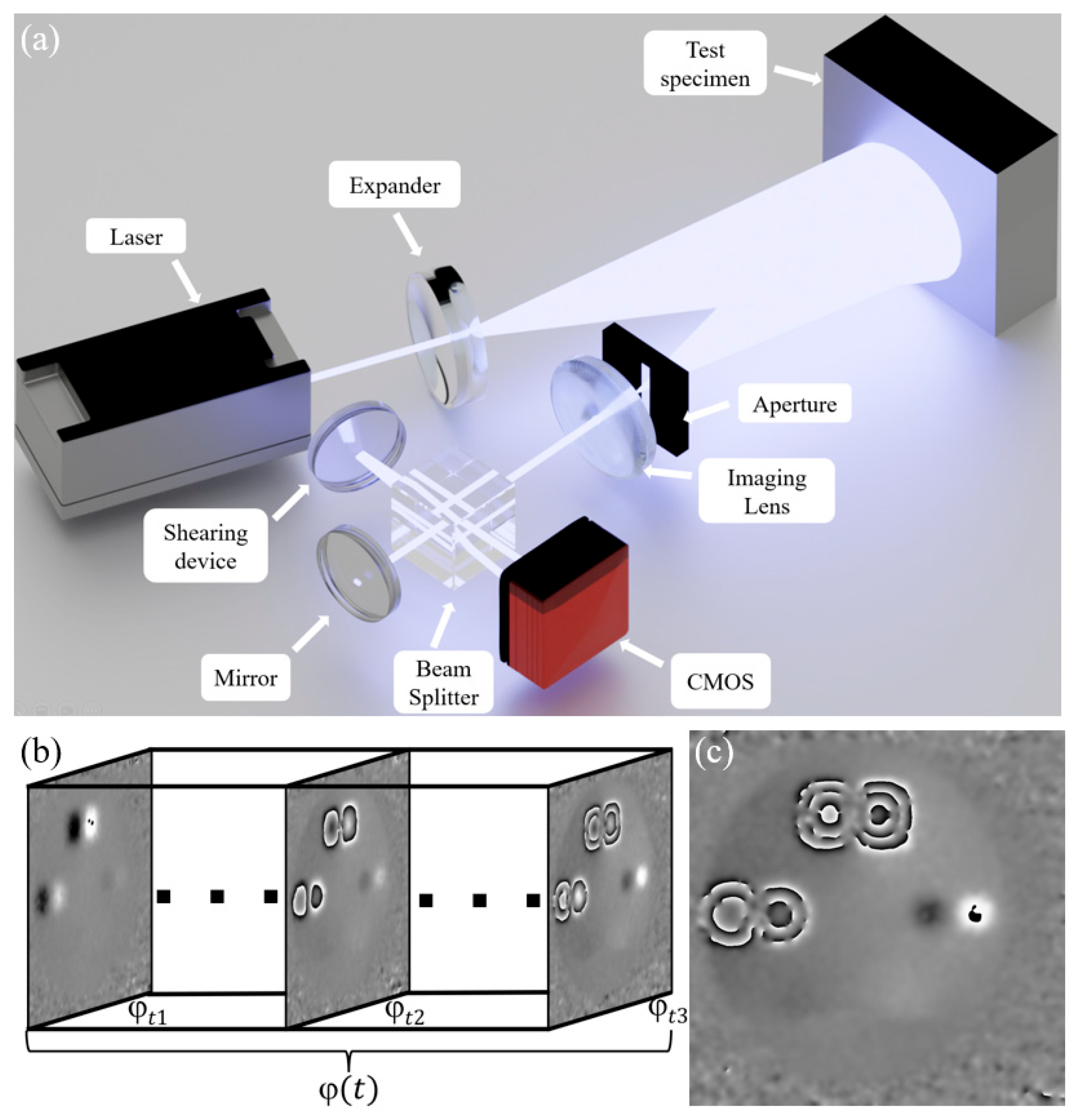 Nanomaterials 15 00523 g007