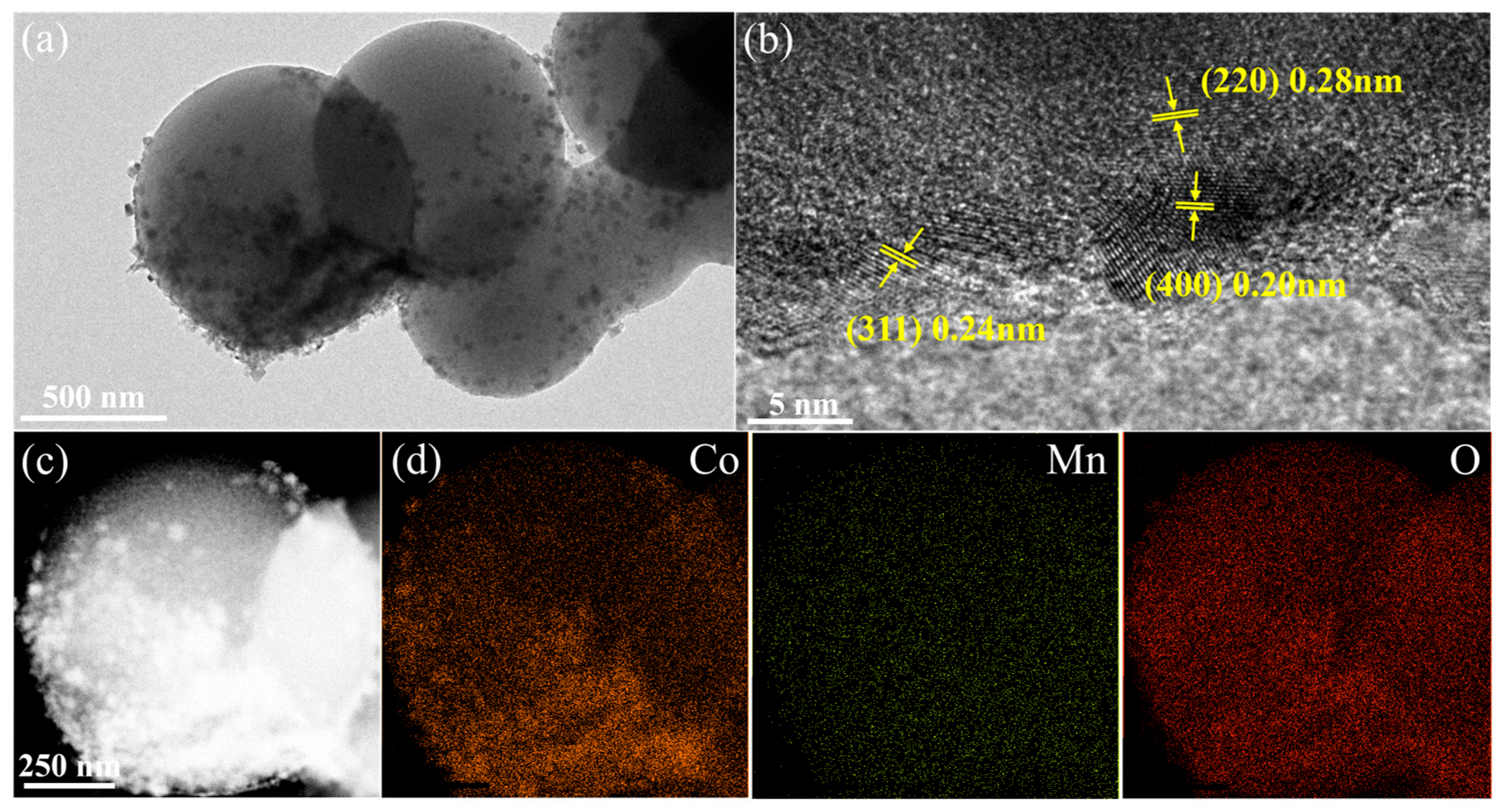 Nanomaterials 15 00524 g003