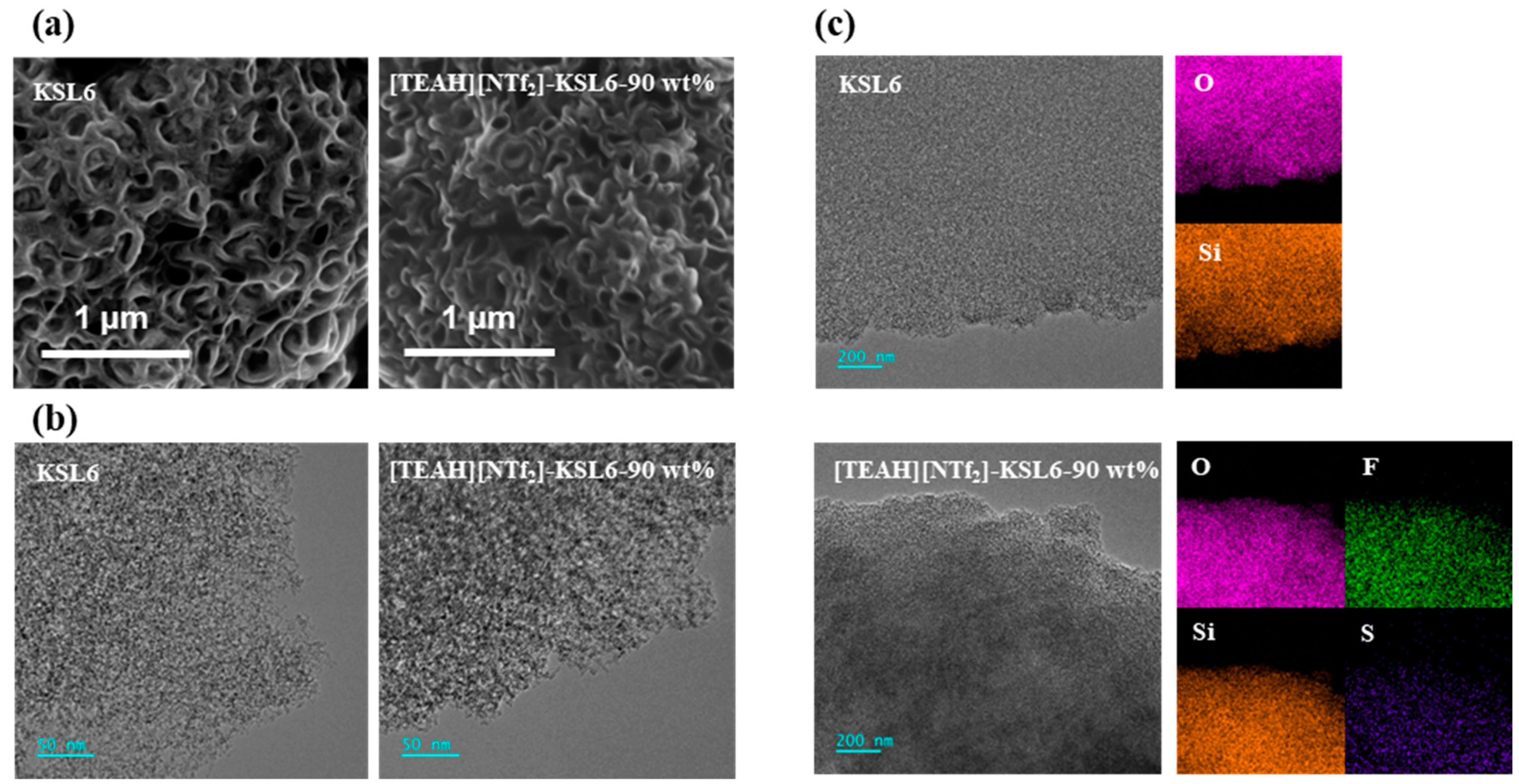 Nanomaterials 15 00526 g003
