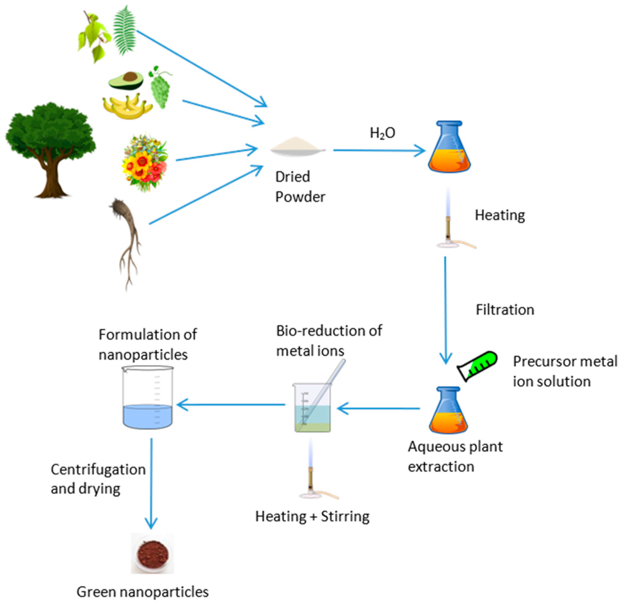 Nanomaterials 15 00528 g001