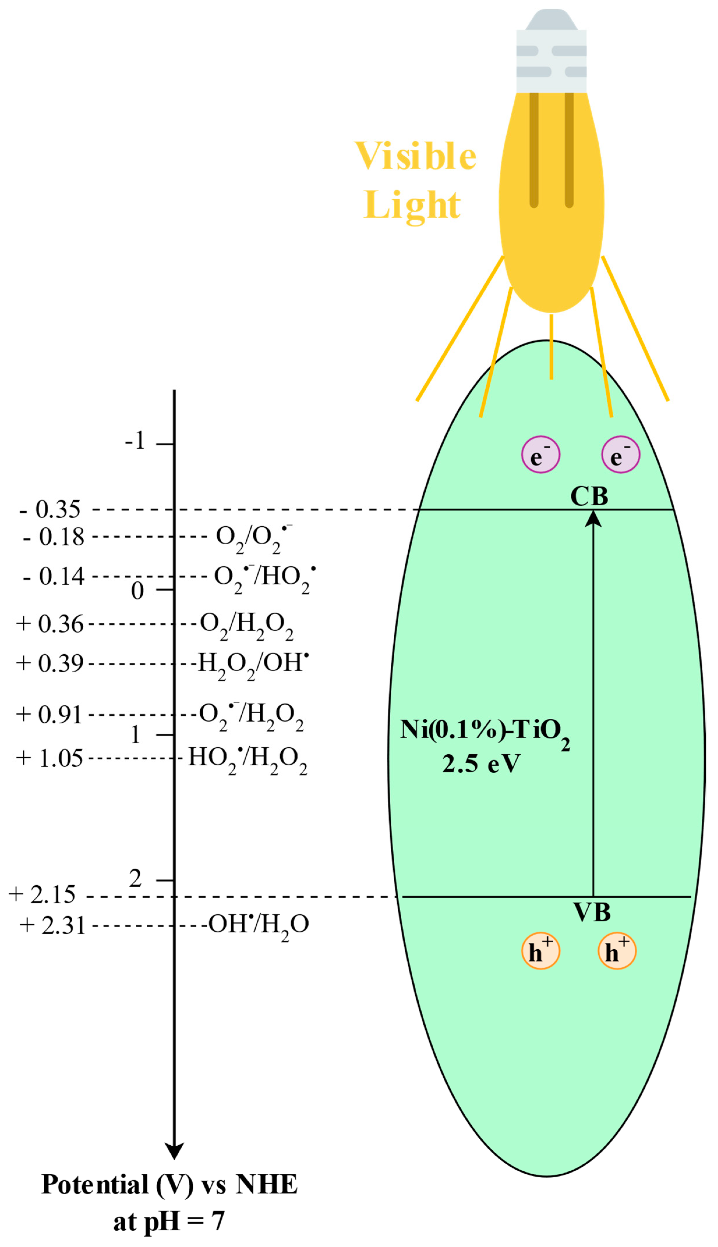 Nanomaterials 15 00530 g010