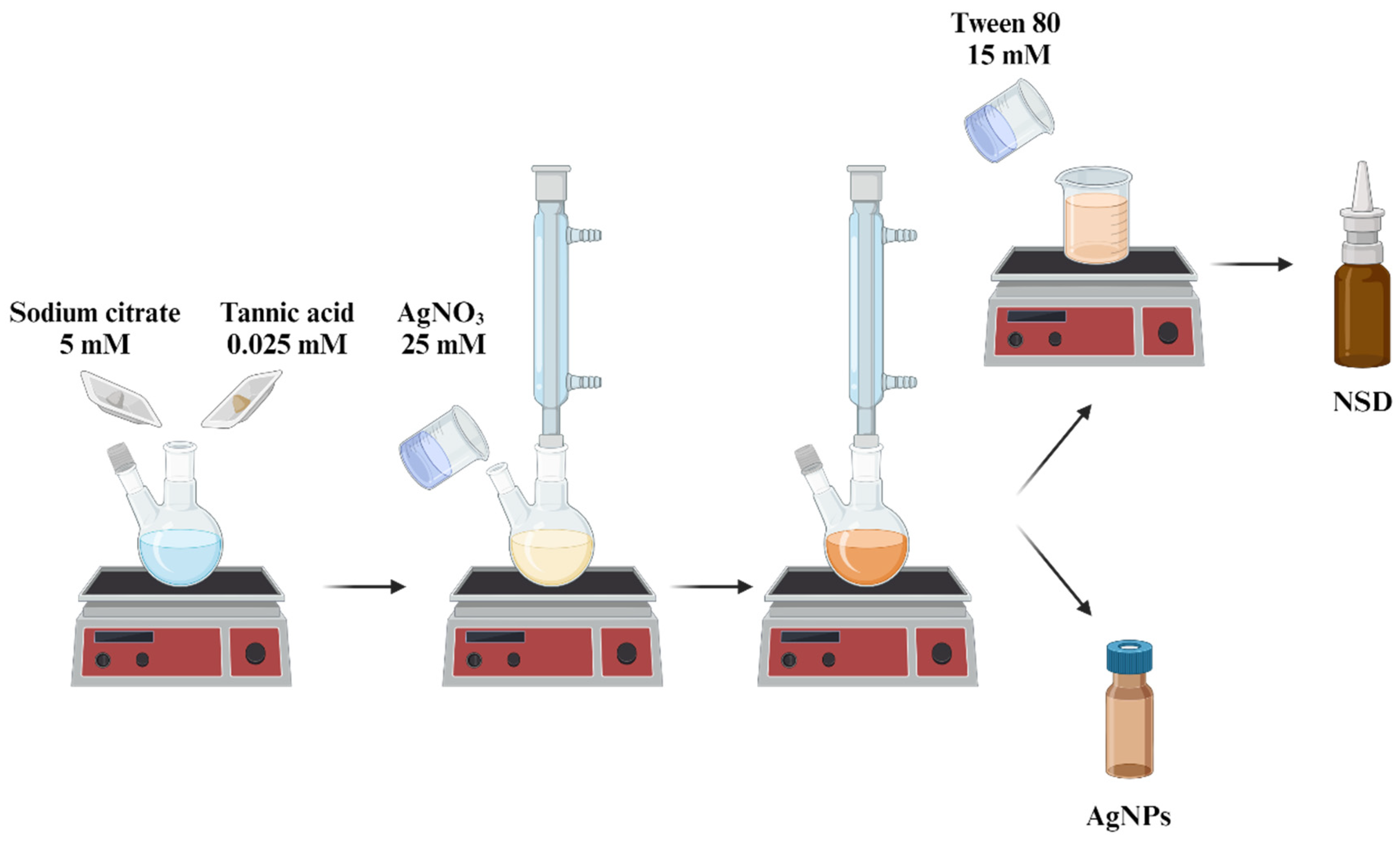 Nanomaterials 15 00533 g001