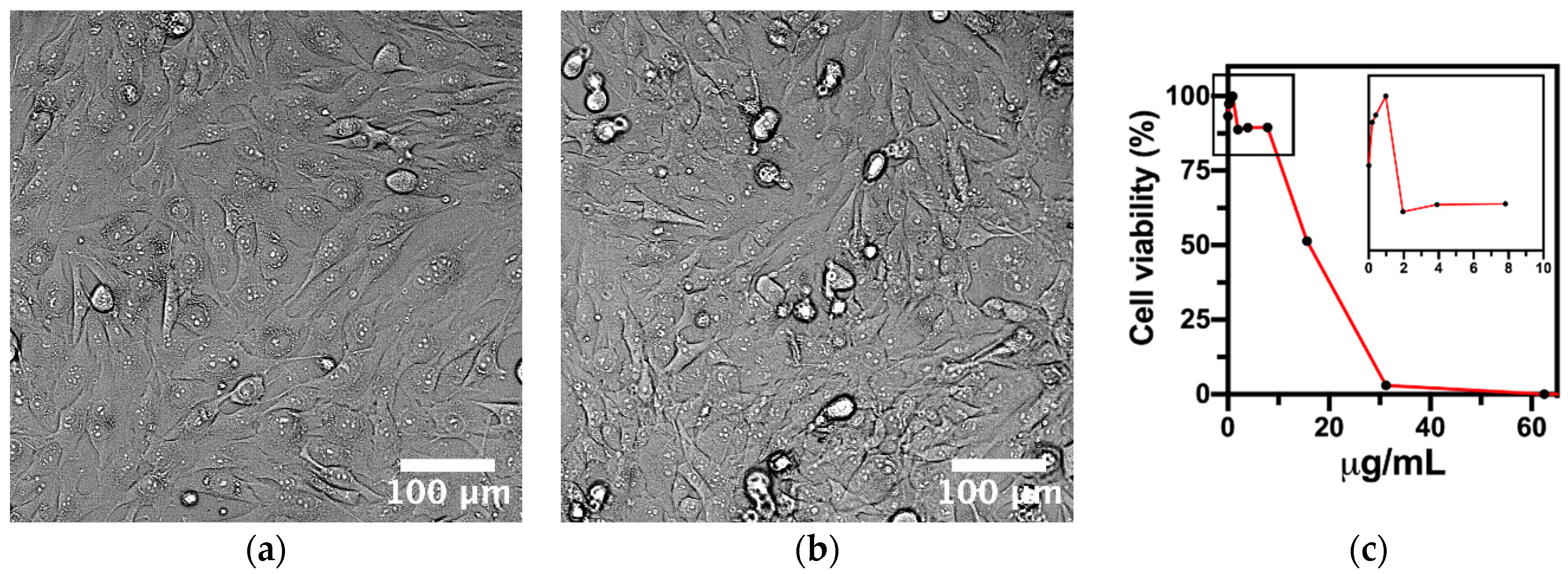 Nanomaterials 15 00533 g005