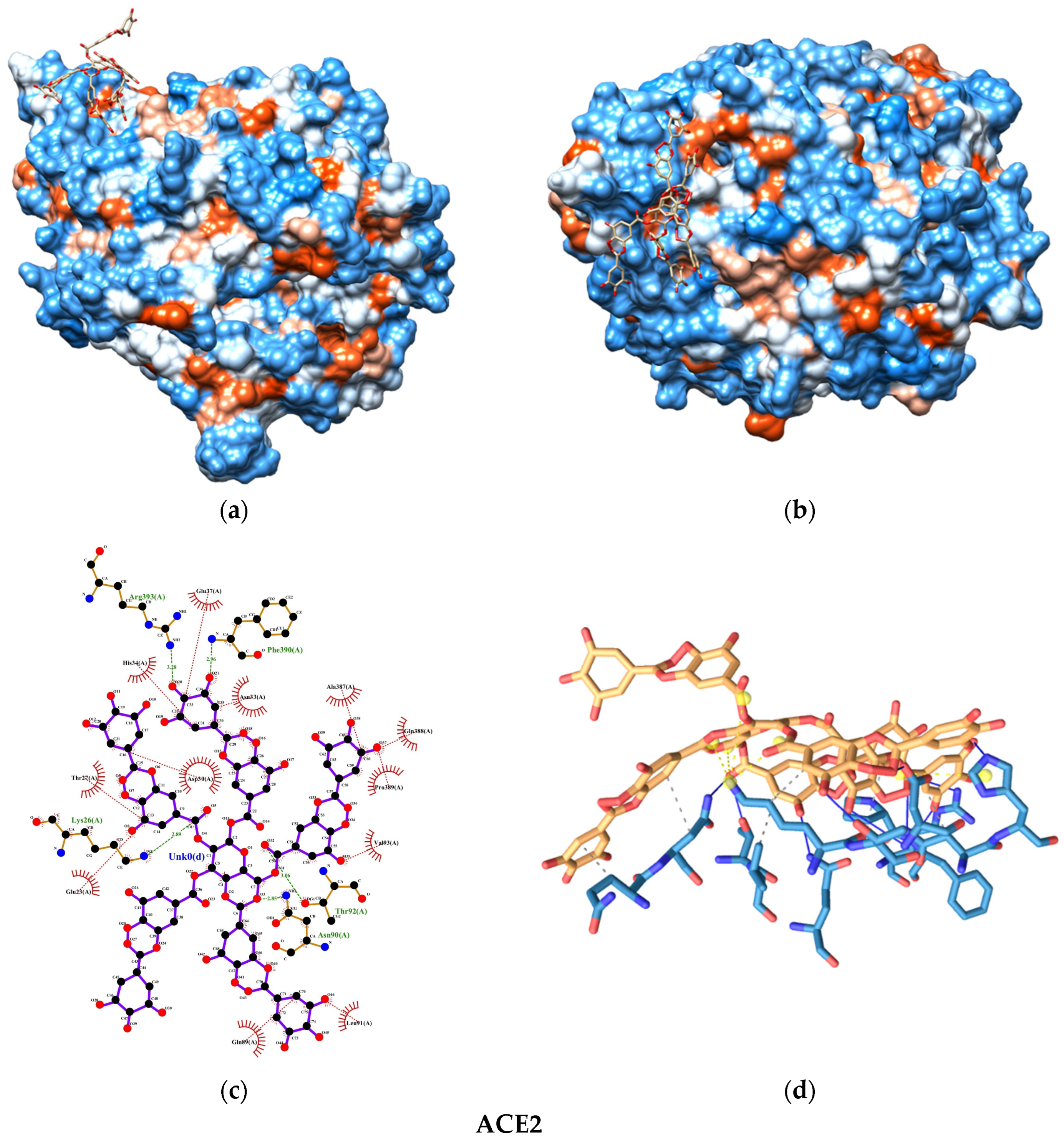 Nanomaterials 15 00533 g009