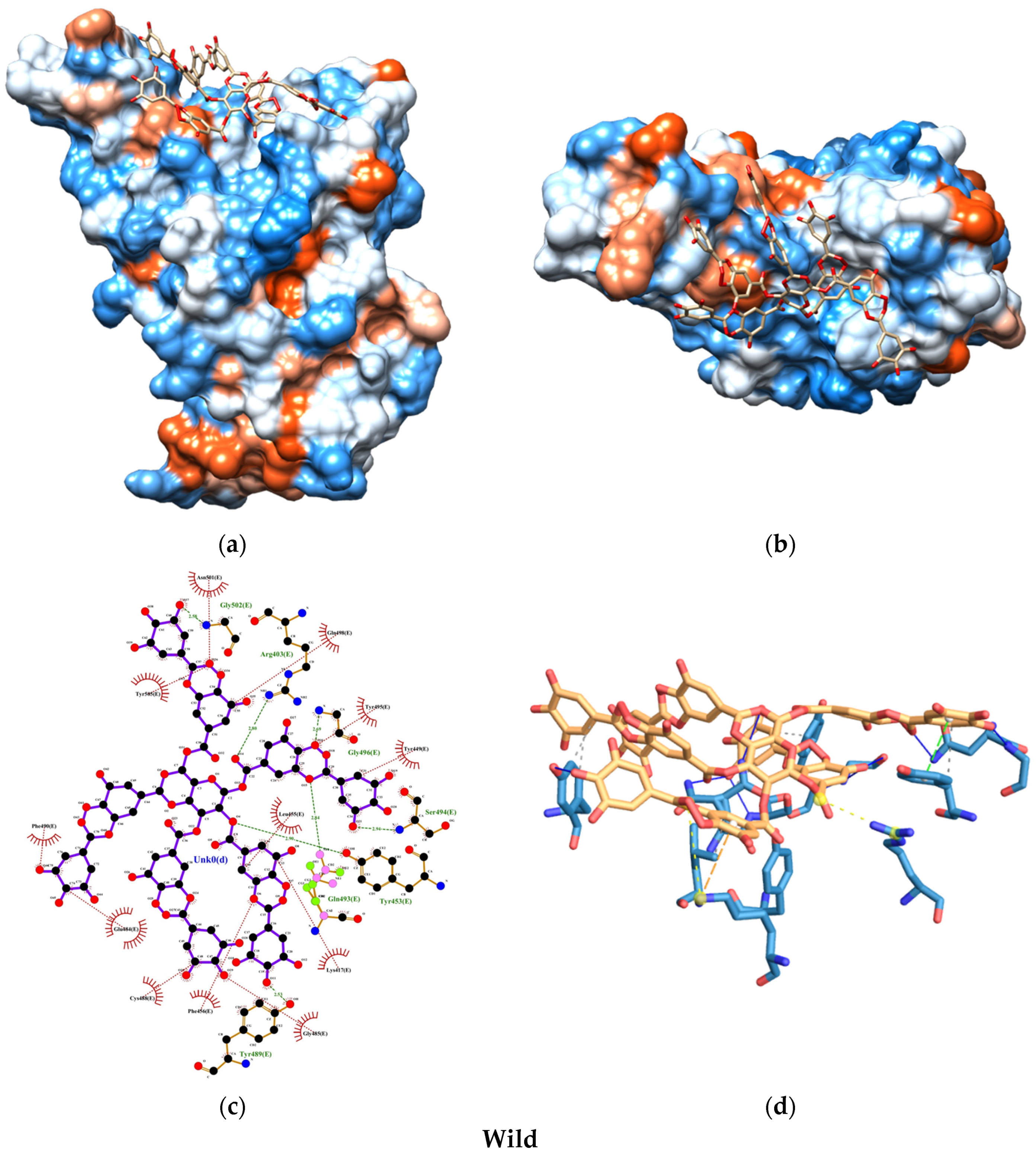 Nanomaterials 15 00533 g010