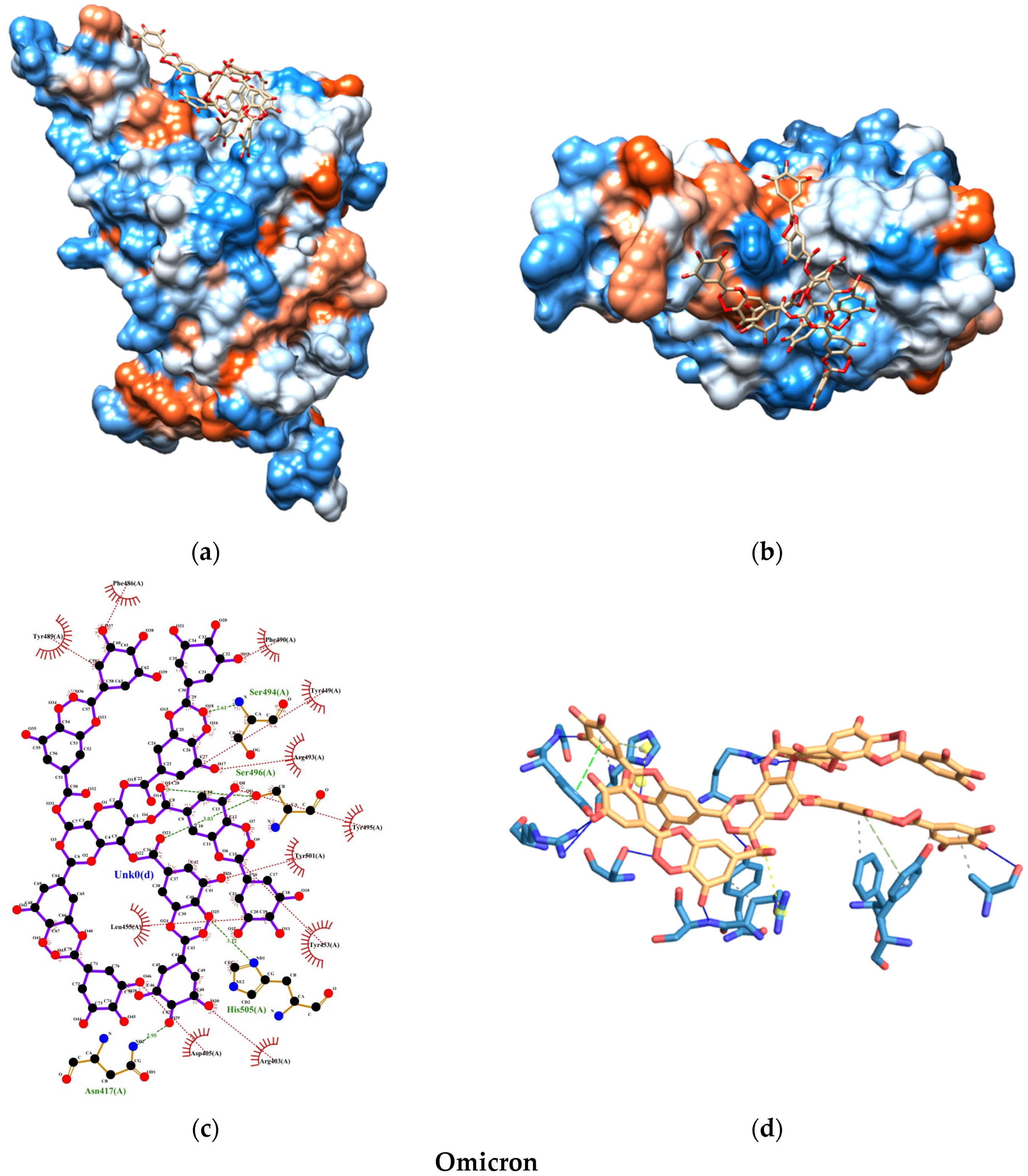 Nanomaterials 15 00533 g012
