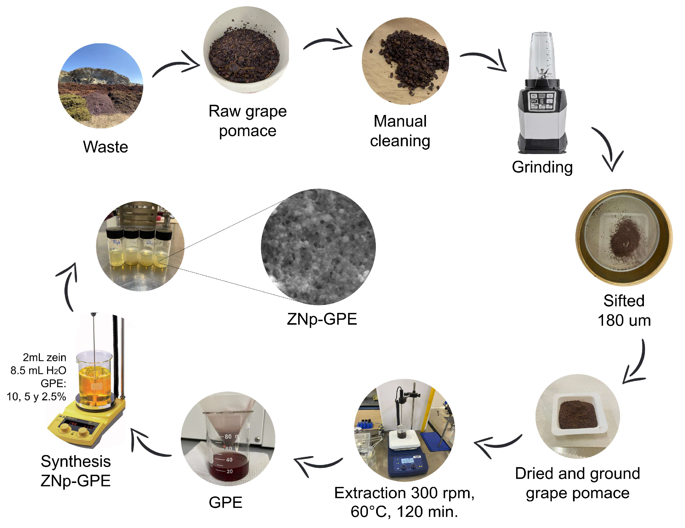 Nanomaterials 15 00539 g001