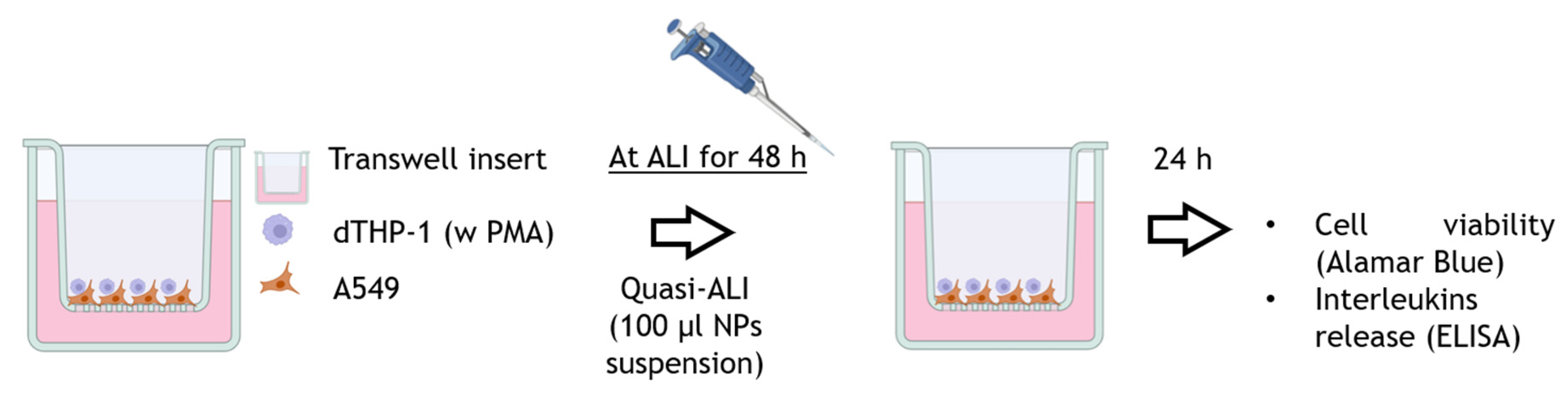 Nanomaterials 15 00549 g001