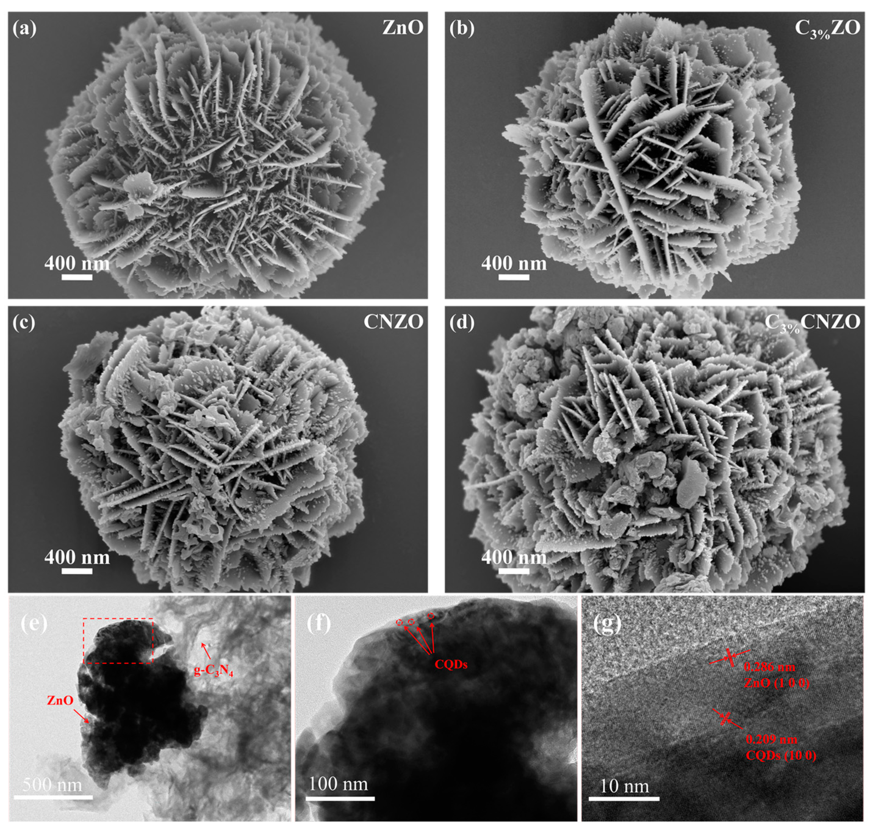 Nanomaterials 15 00550 g001