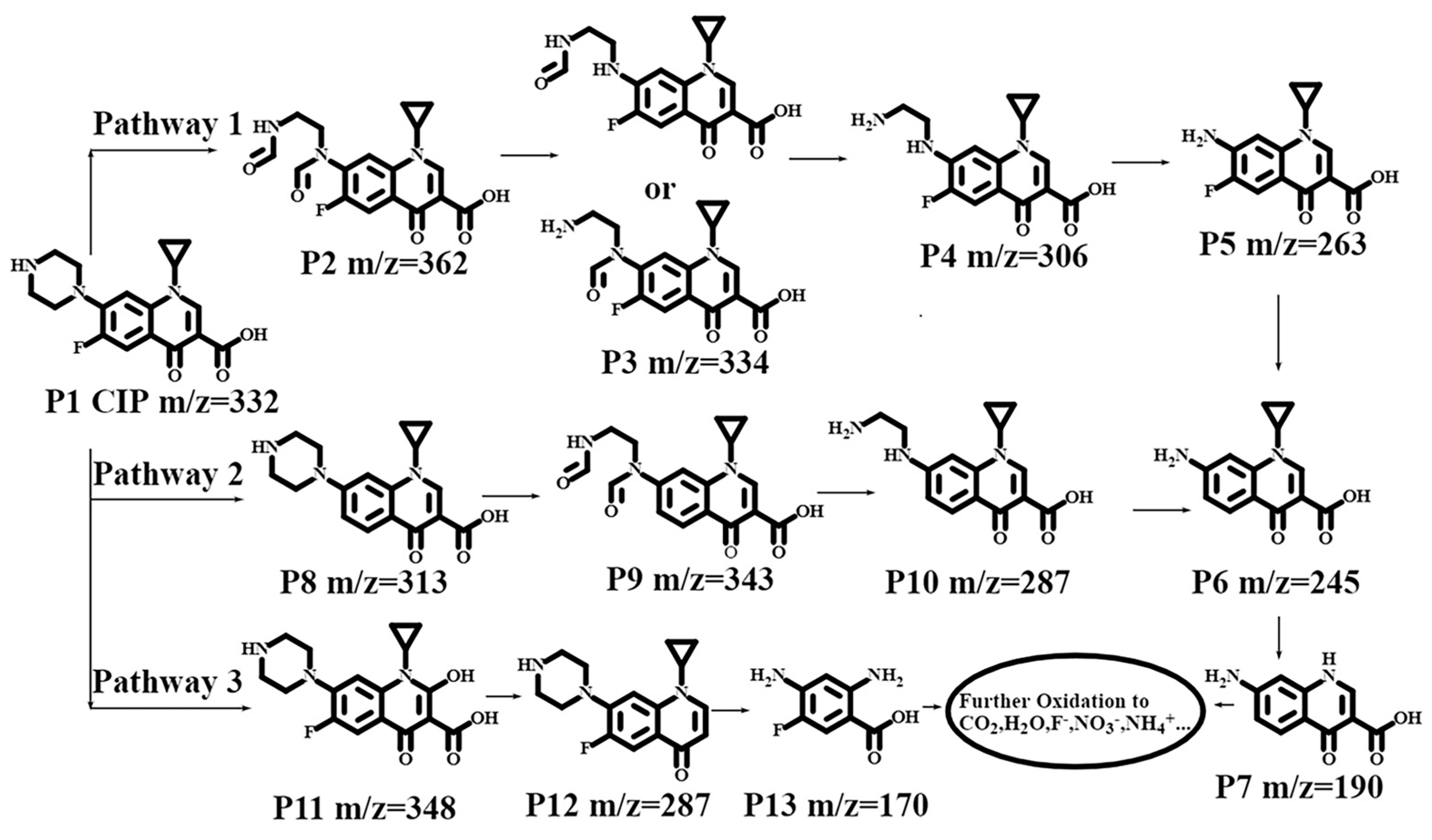 Nanomaterials 15 00550 sch002