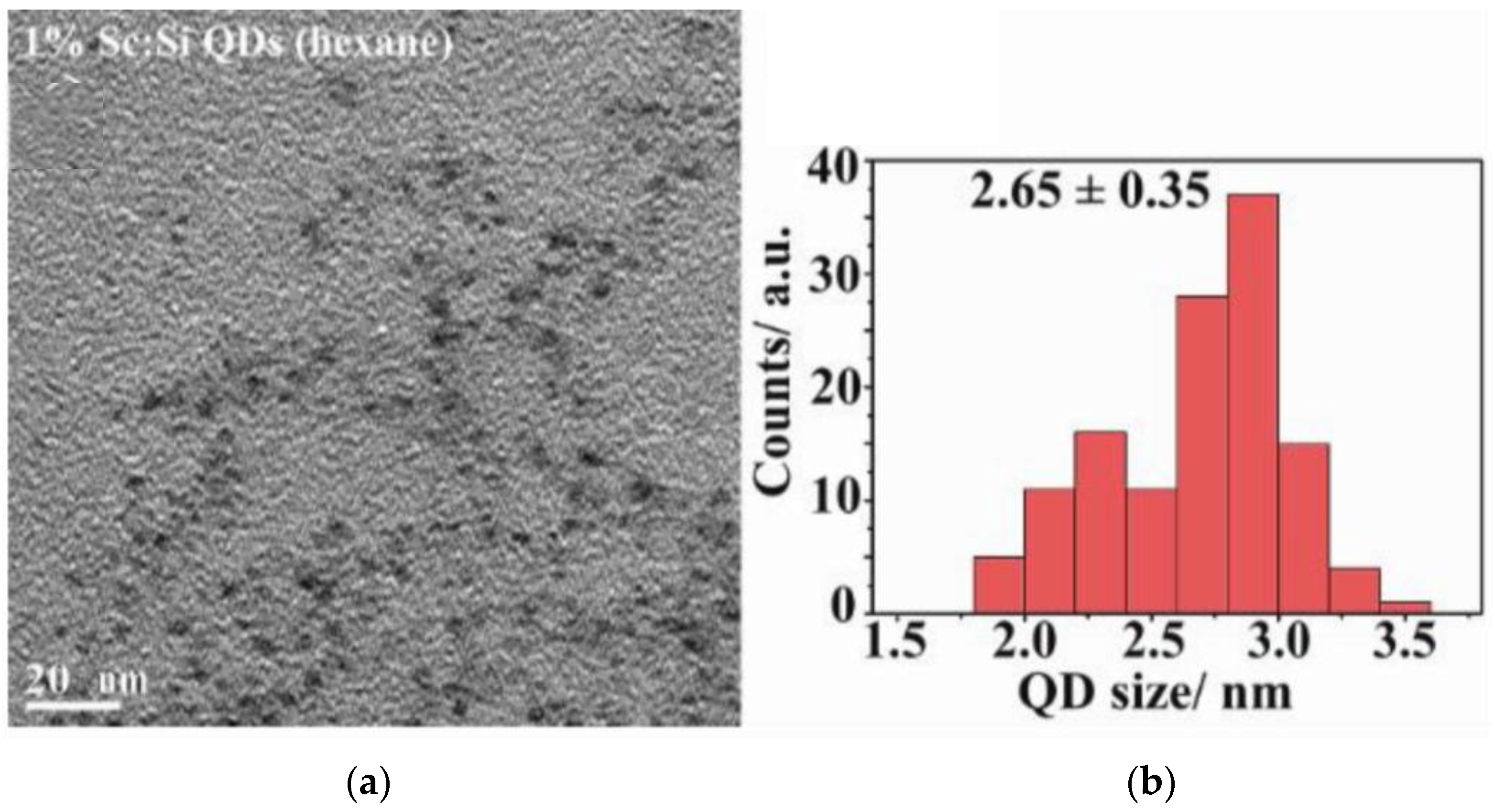 Nanomaterials 15 00552 g001