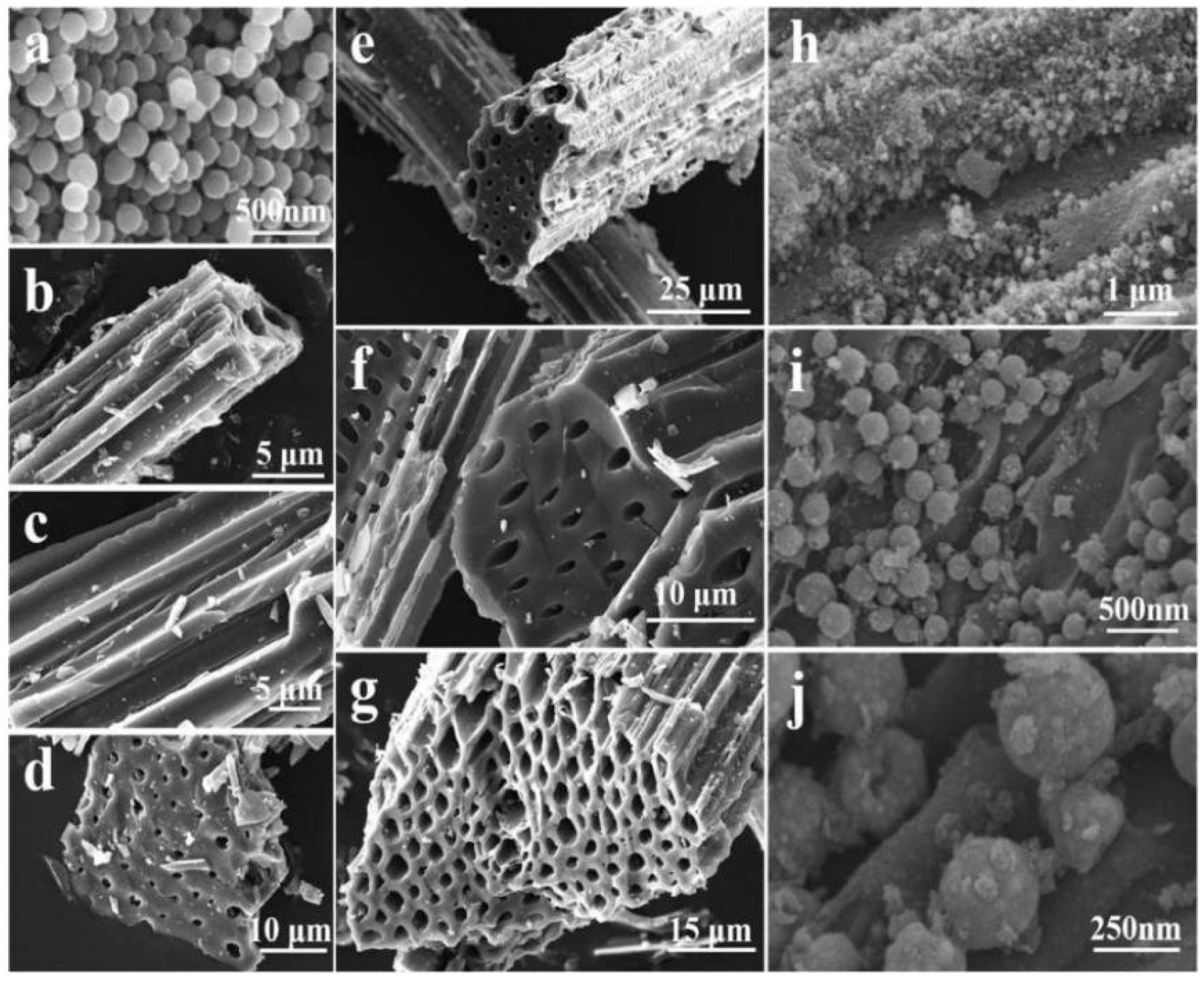 Nanomaterials 15 00553 g018 Nanomaterials 15 00553 g018