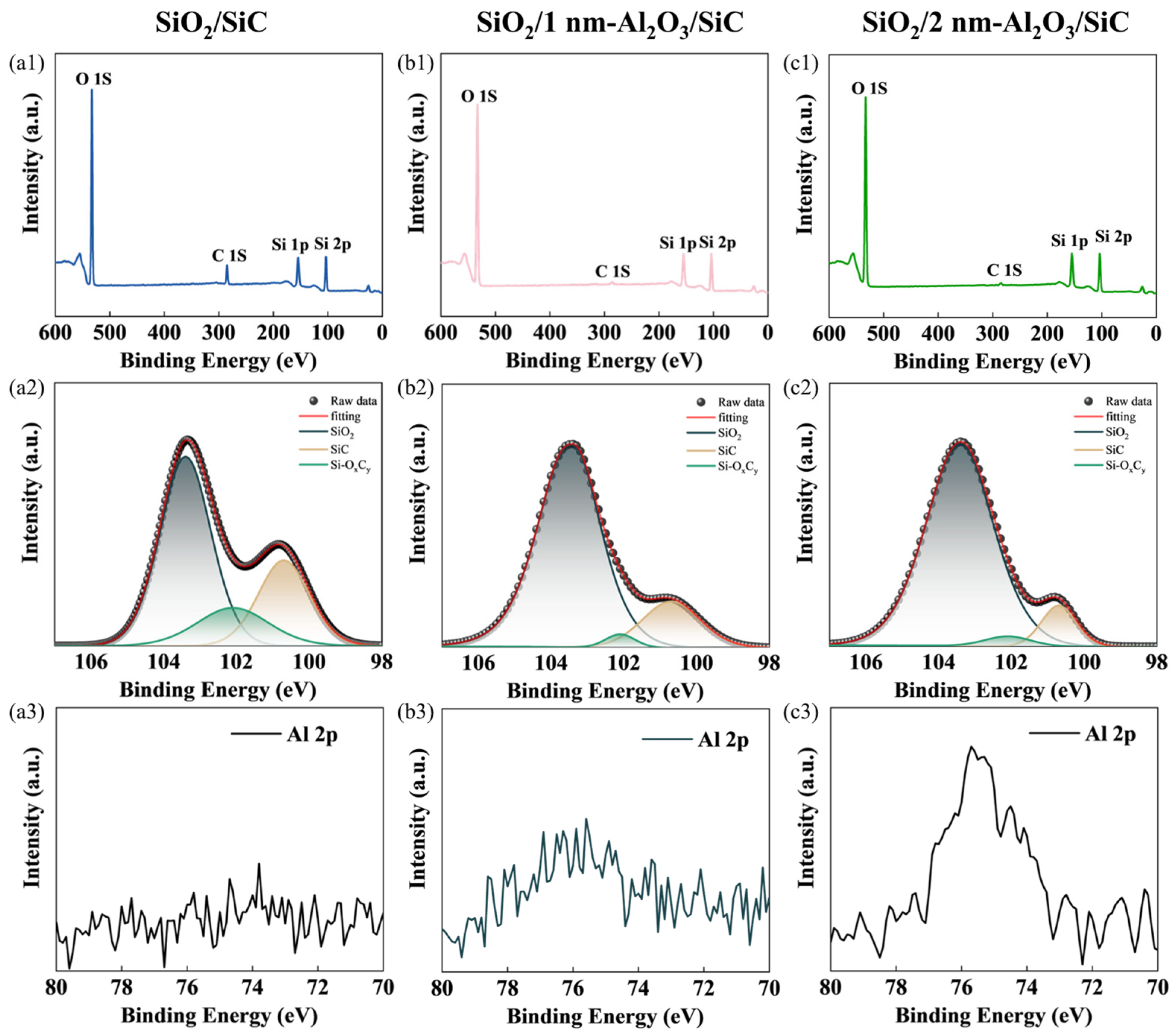 Nanomaterials 15 00555 g003