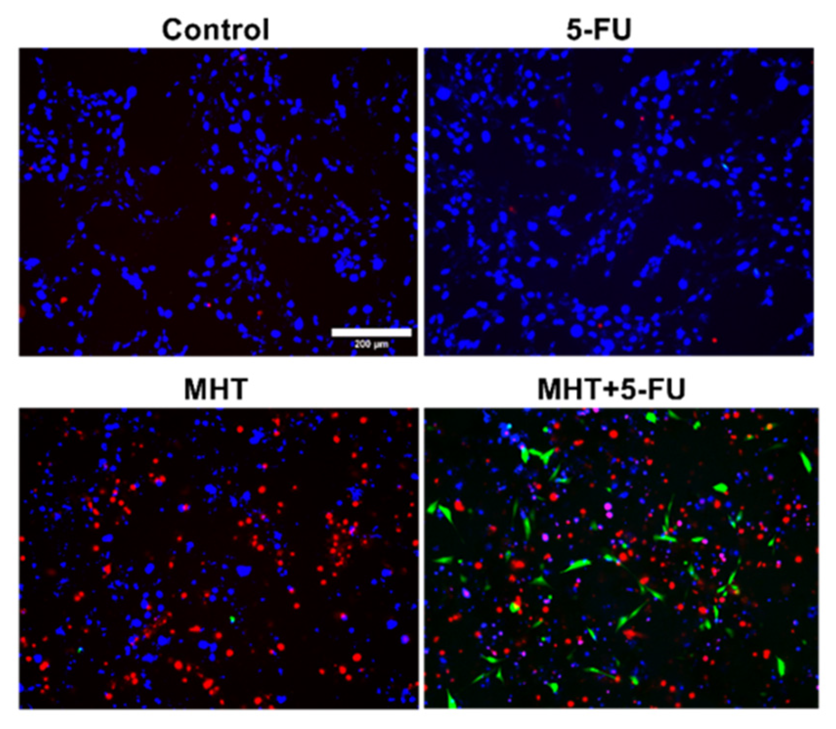 Nanomaterials 15 00556 g006