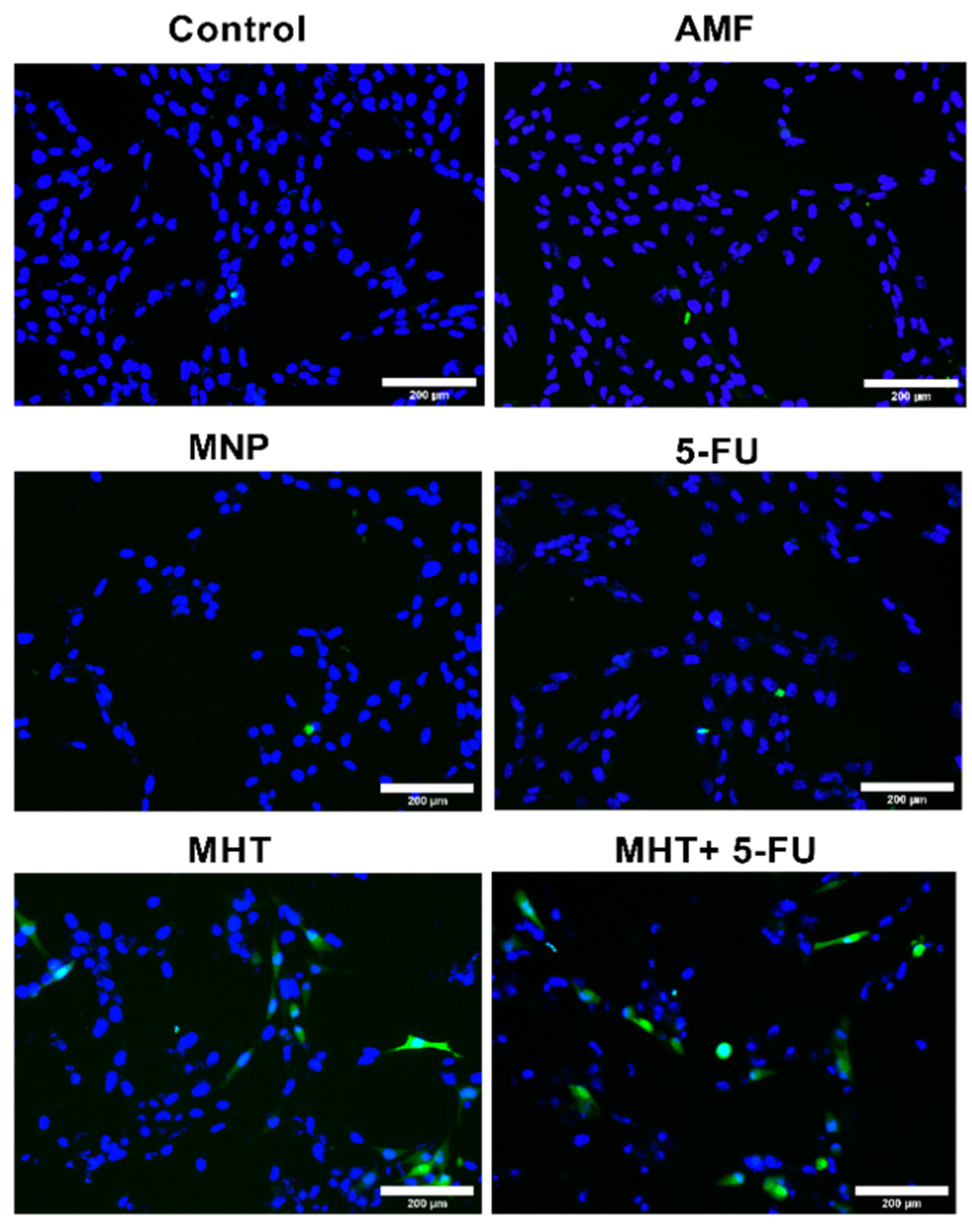 Nanomaterials 15 00556 g008