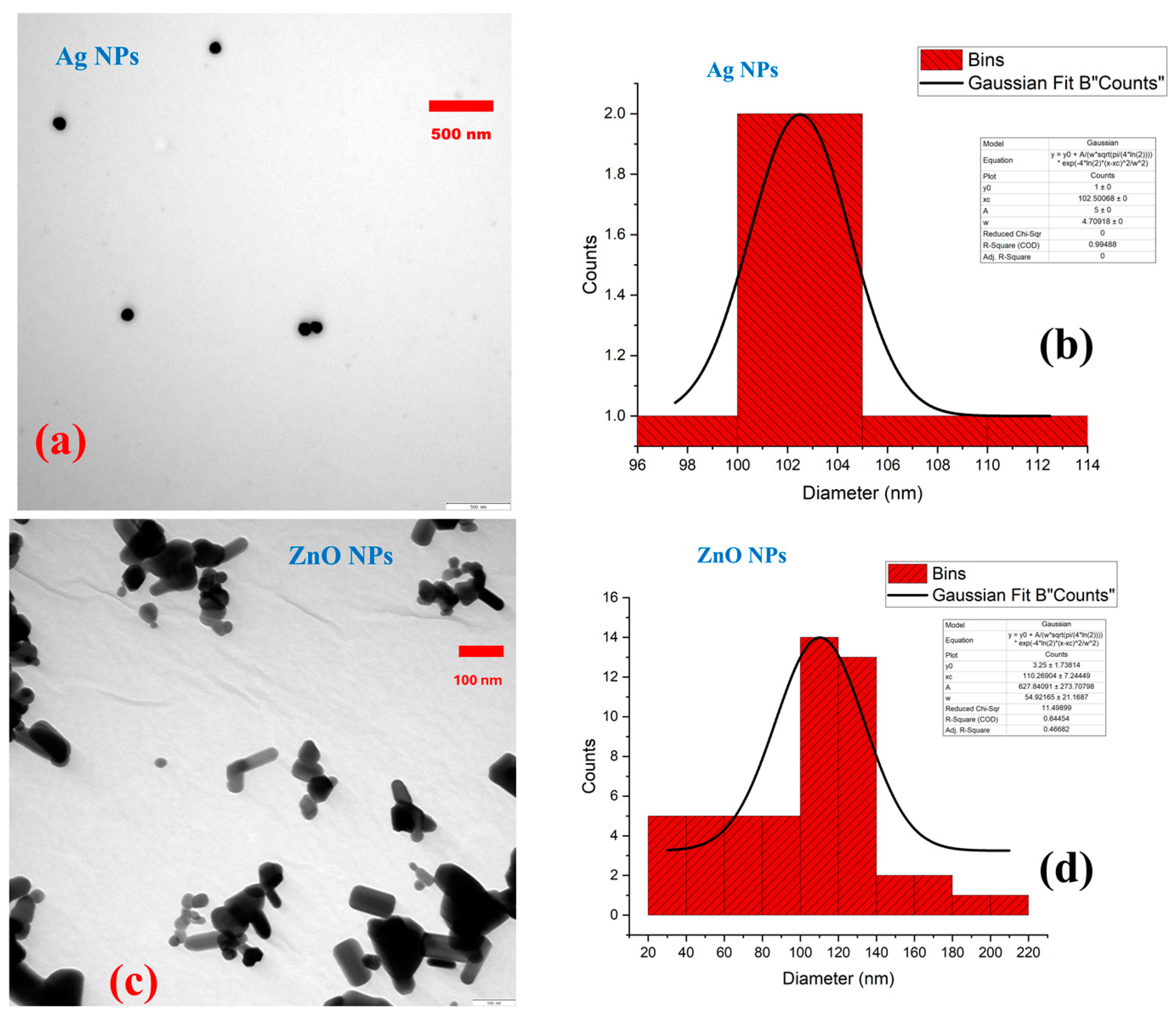 Nanomaterials 15 00559 g001