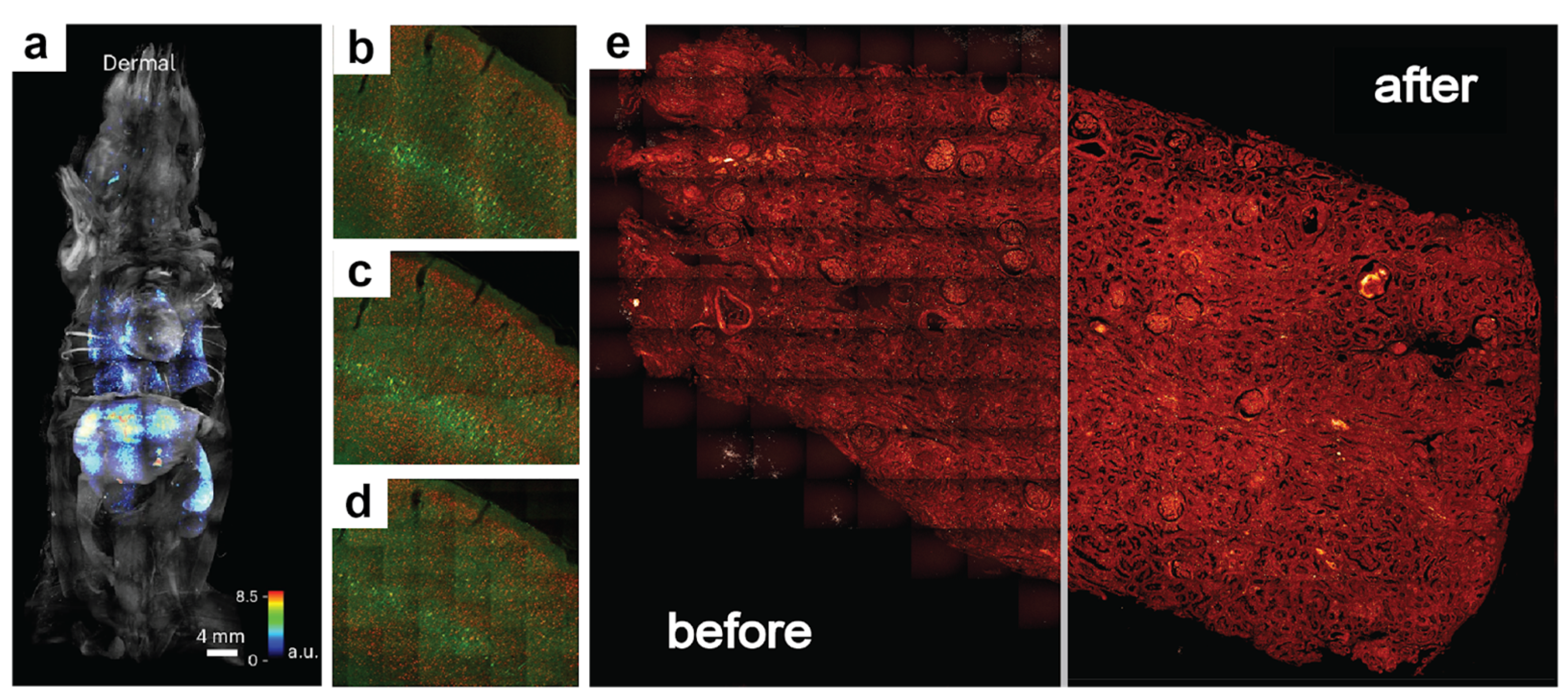 Nanomaterials 15 00563 g001