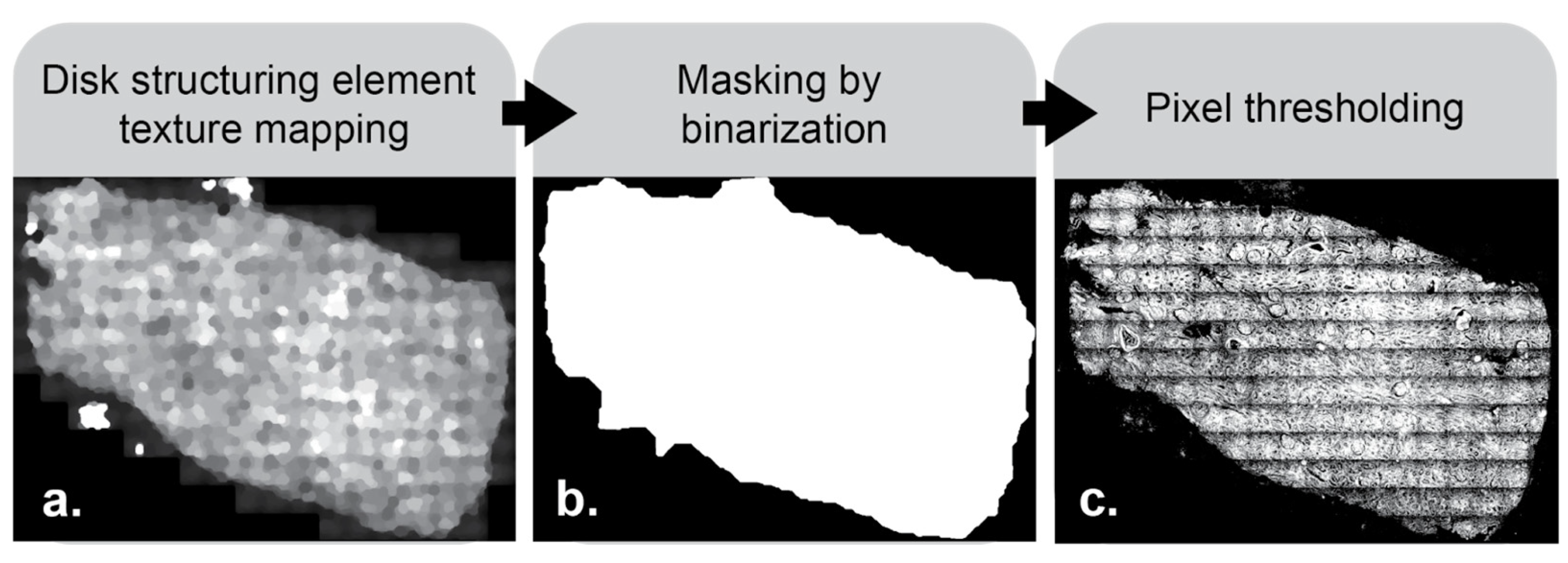 Nanomaterials 15 00563 g003