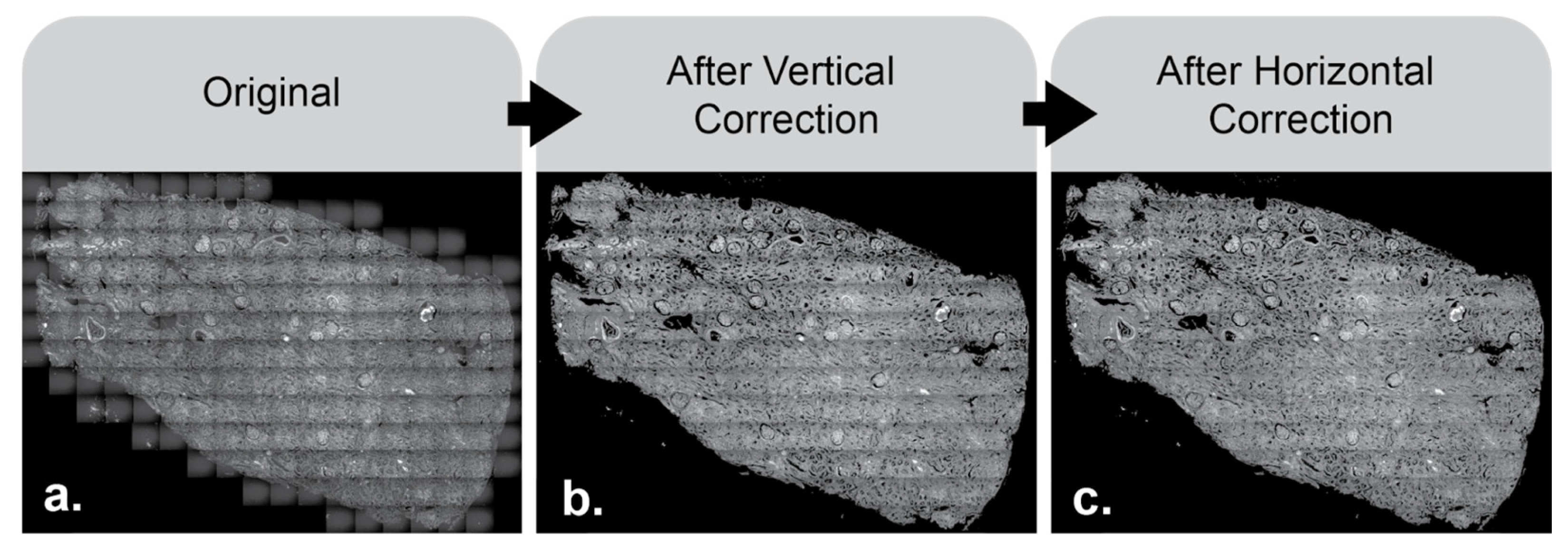 Nanomaterials 15 00563 g006