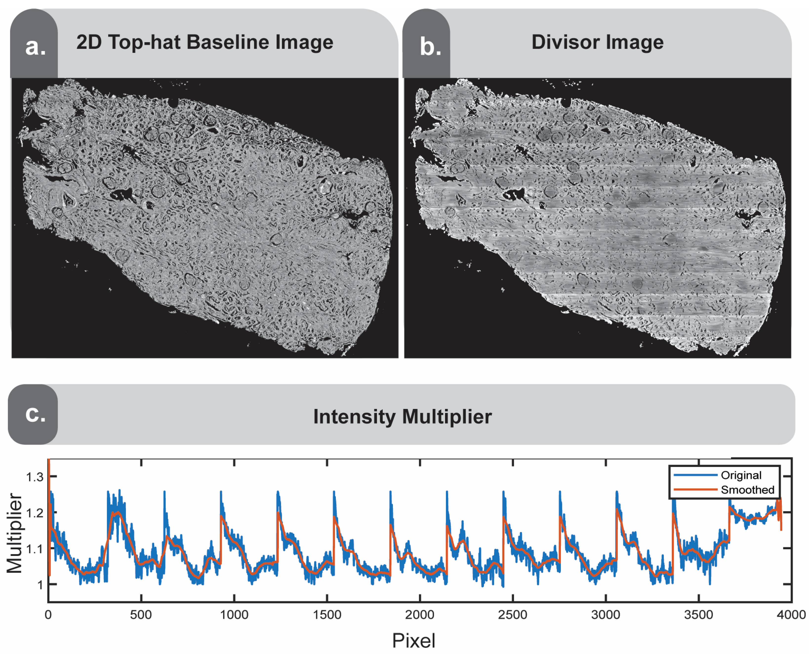 Nanomaterials 15 00563 g007