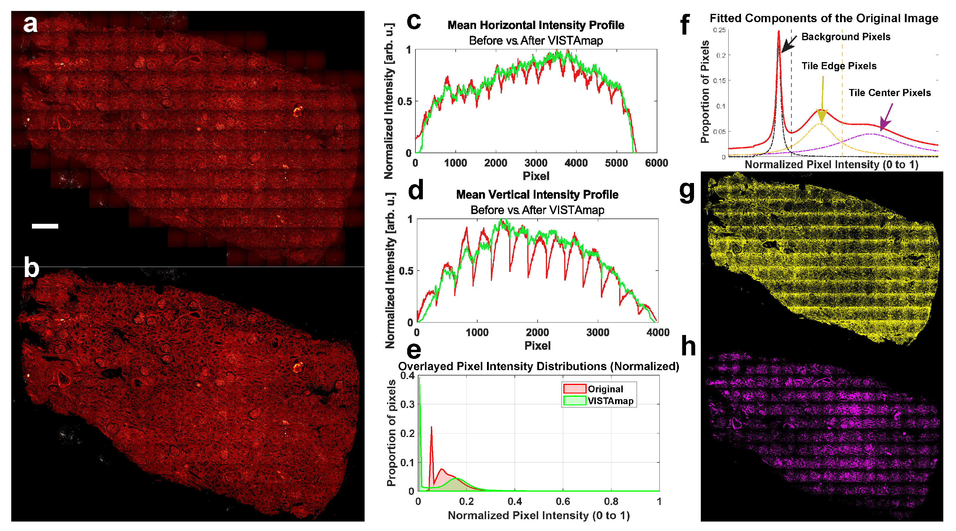Single-Frame Vignetting Correction for Post-Stitched-Tile Imaging
