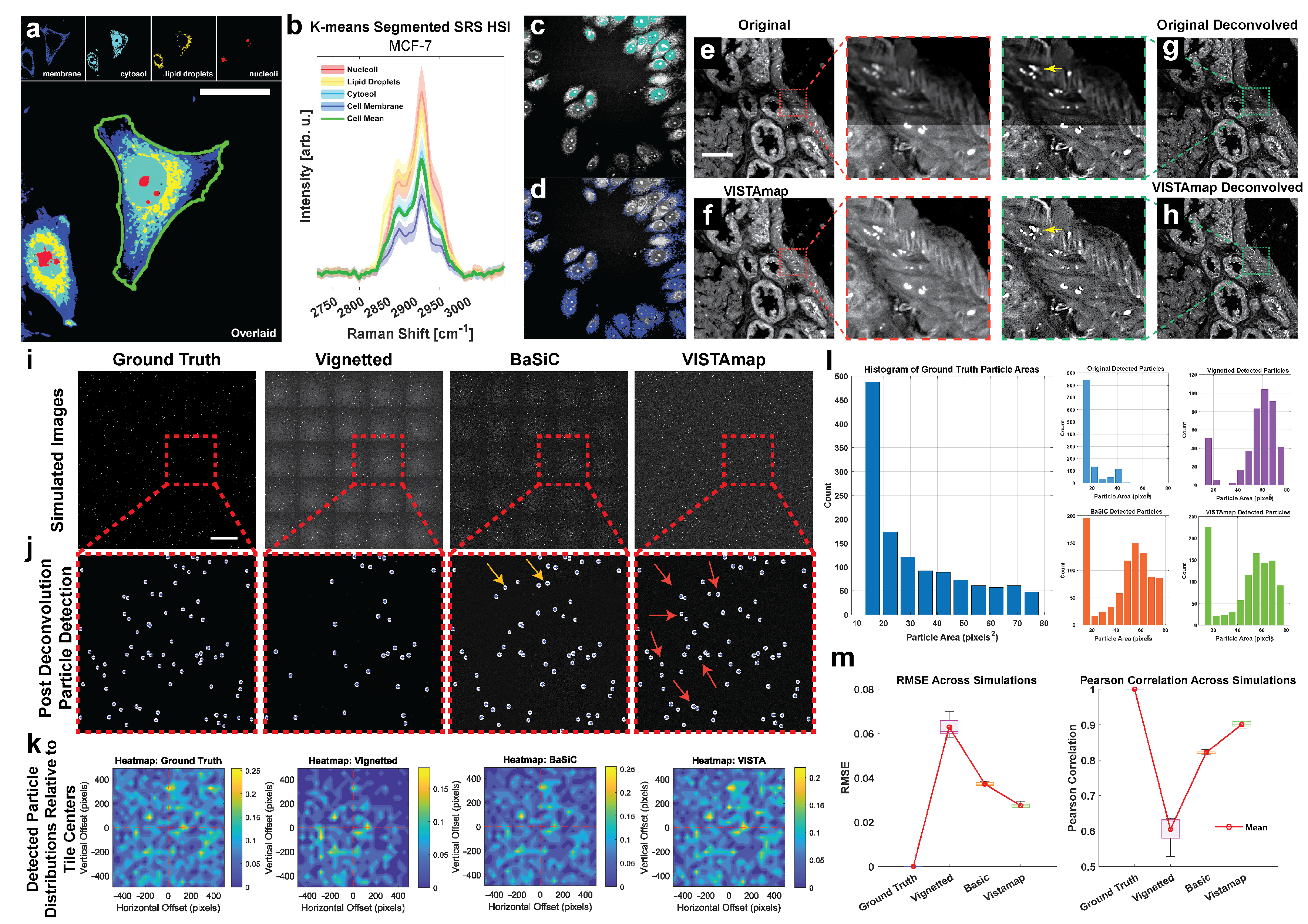 Nanomaterials 15 00563 g010