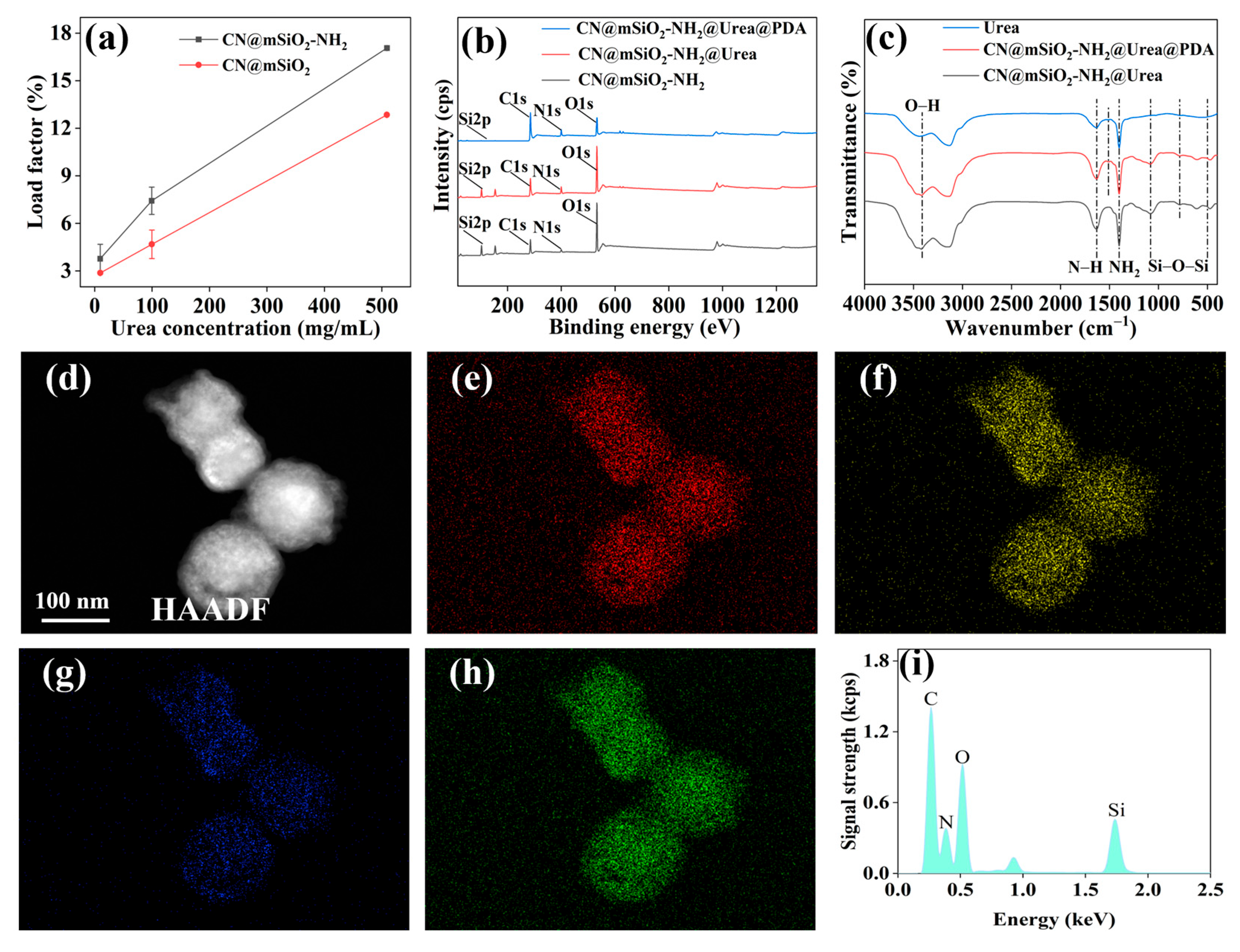 Nanomaterials 15 00565 g005